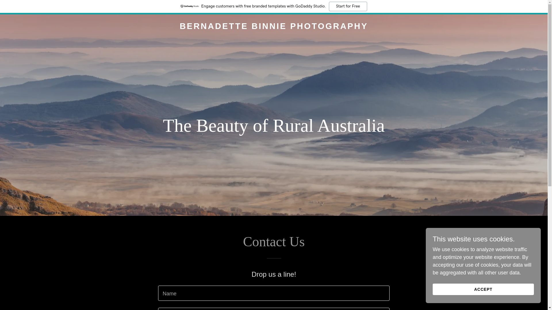 website screenshot of https://bernadettebinniephotography.com.au/