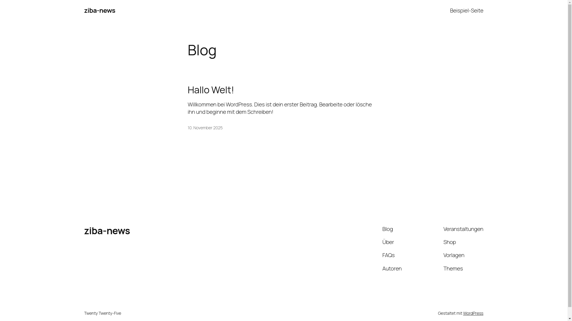 website screenshot of https://ziba-news.de/