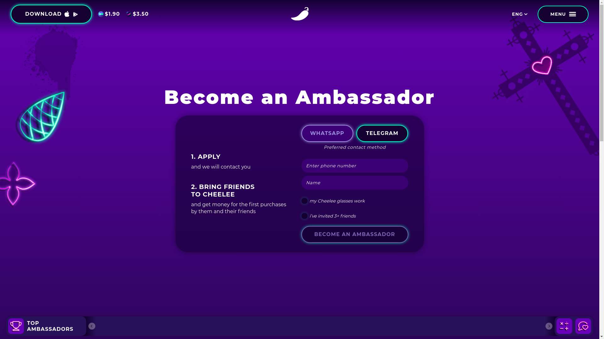 website screenshot of https://cheeleepromo-stress.pages.dev/