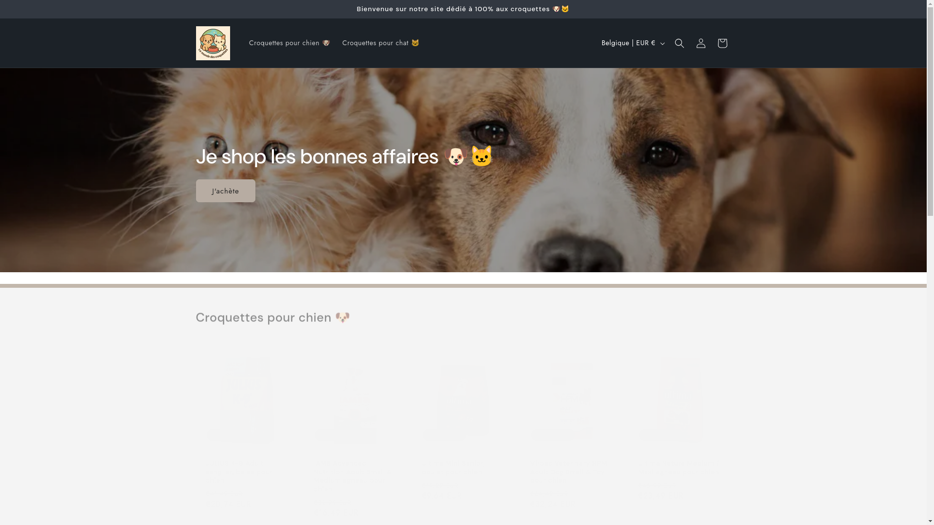 website screenshot of https://lemondedescroquettes.store/