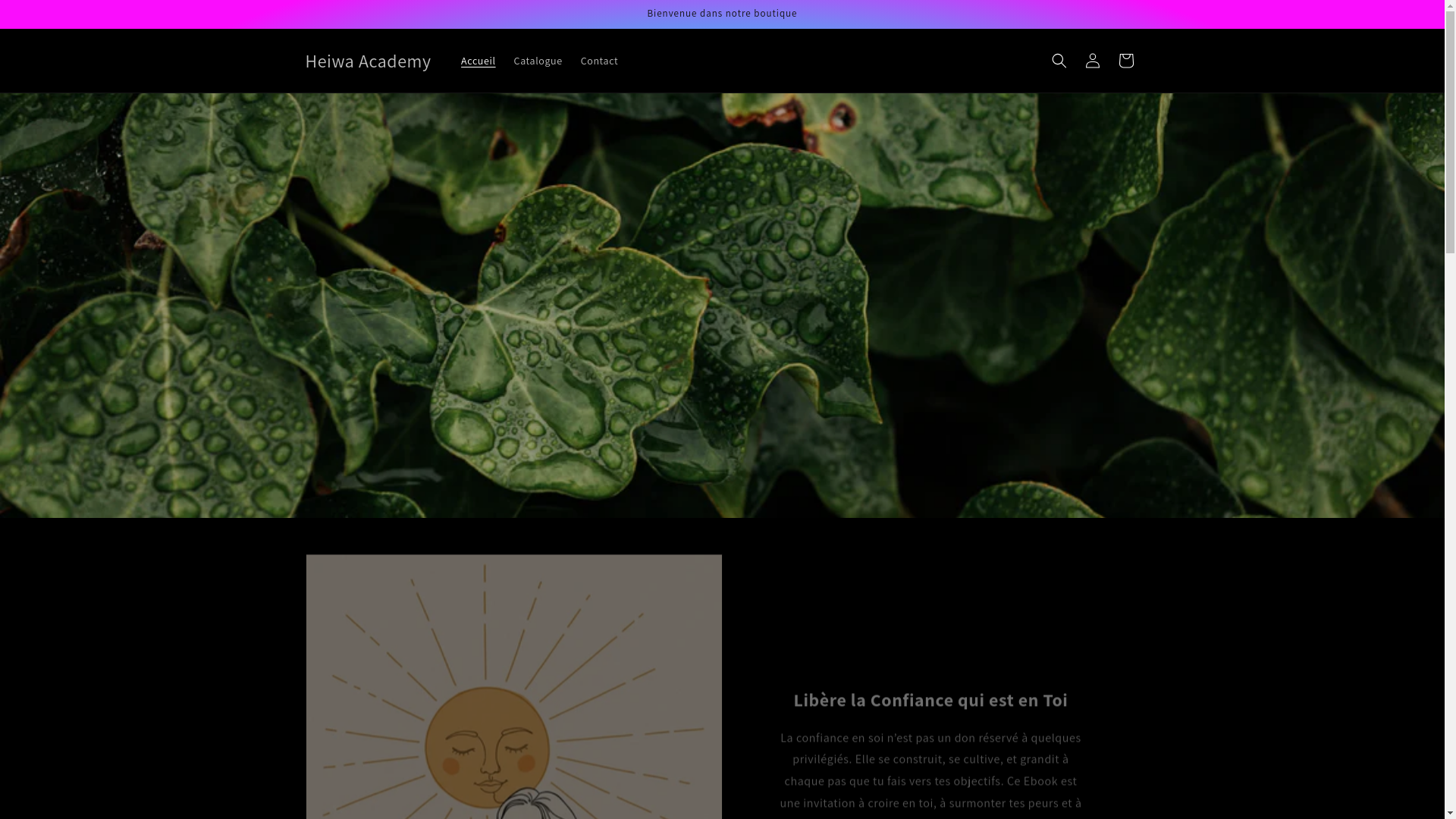 website screenshot of https://heiwaacademy.com/