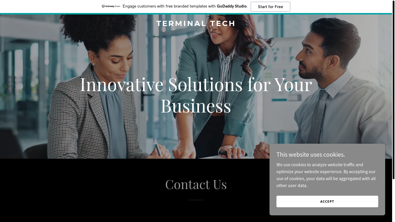 website screenshot of https://terminaltech.co.za/