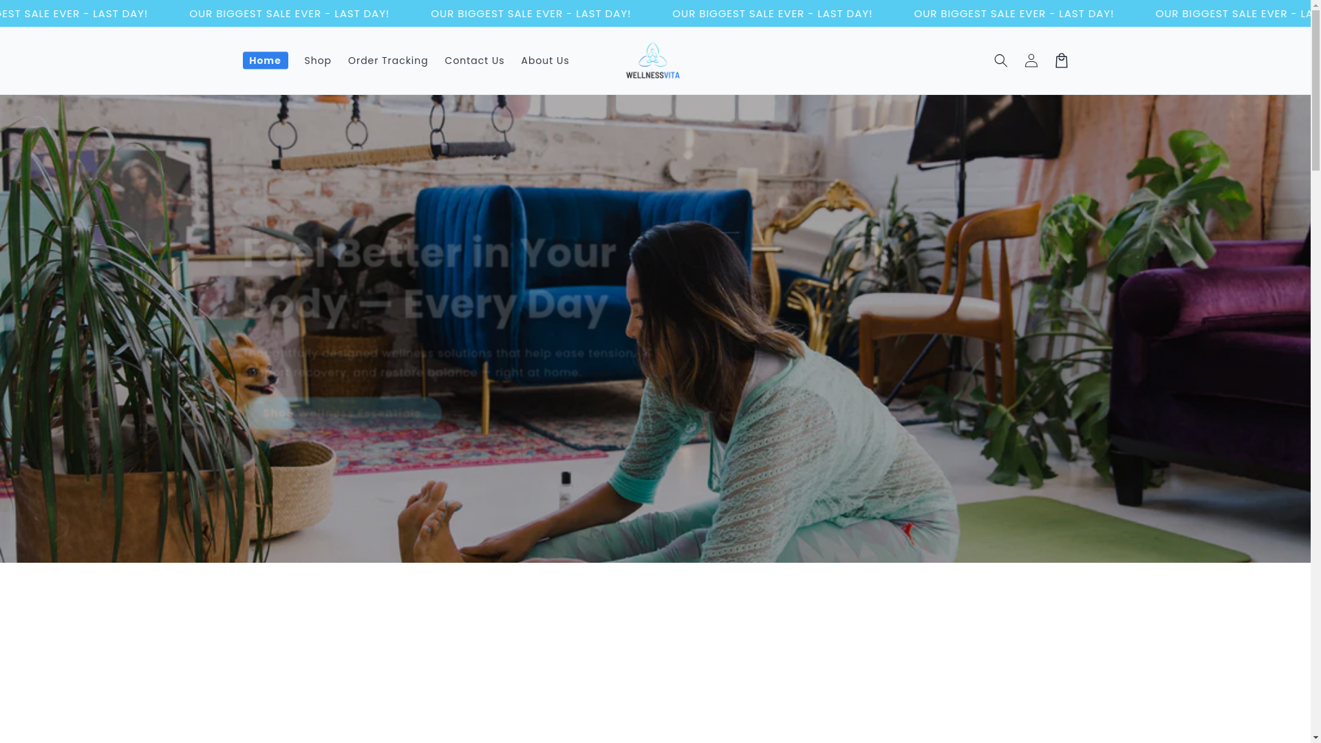 website screenshot of https://wellnes-vita.com/