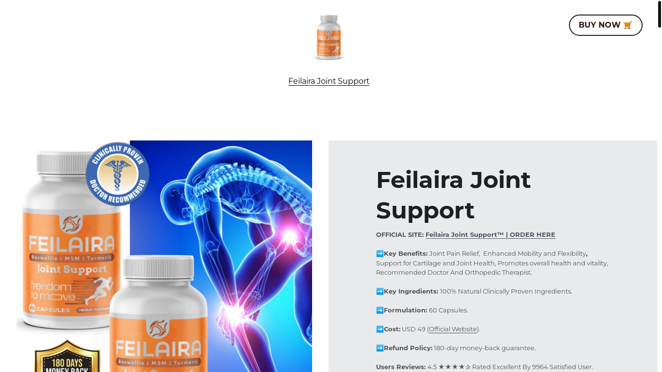 website screenshot of https://feilaira-joint-support.mystrikingly.com/