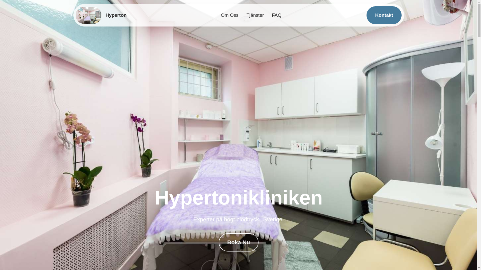 website screenshot of https://seijucace.shop/