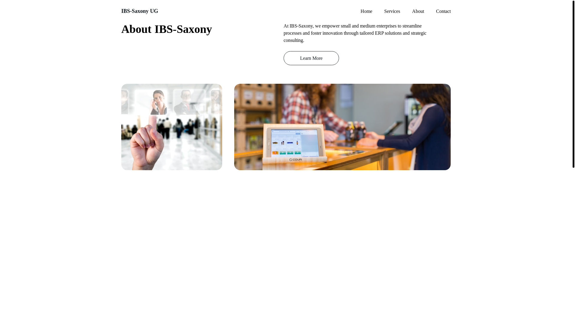 website screenshot of https://ibs-saxony.de/