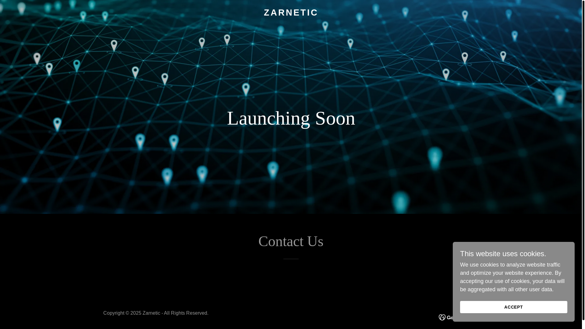 website screenshot of https://zarnetic.com/