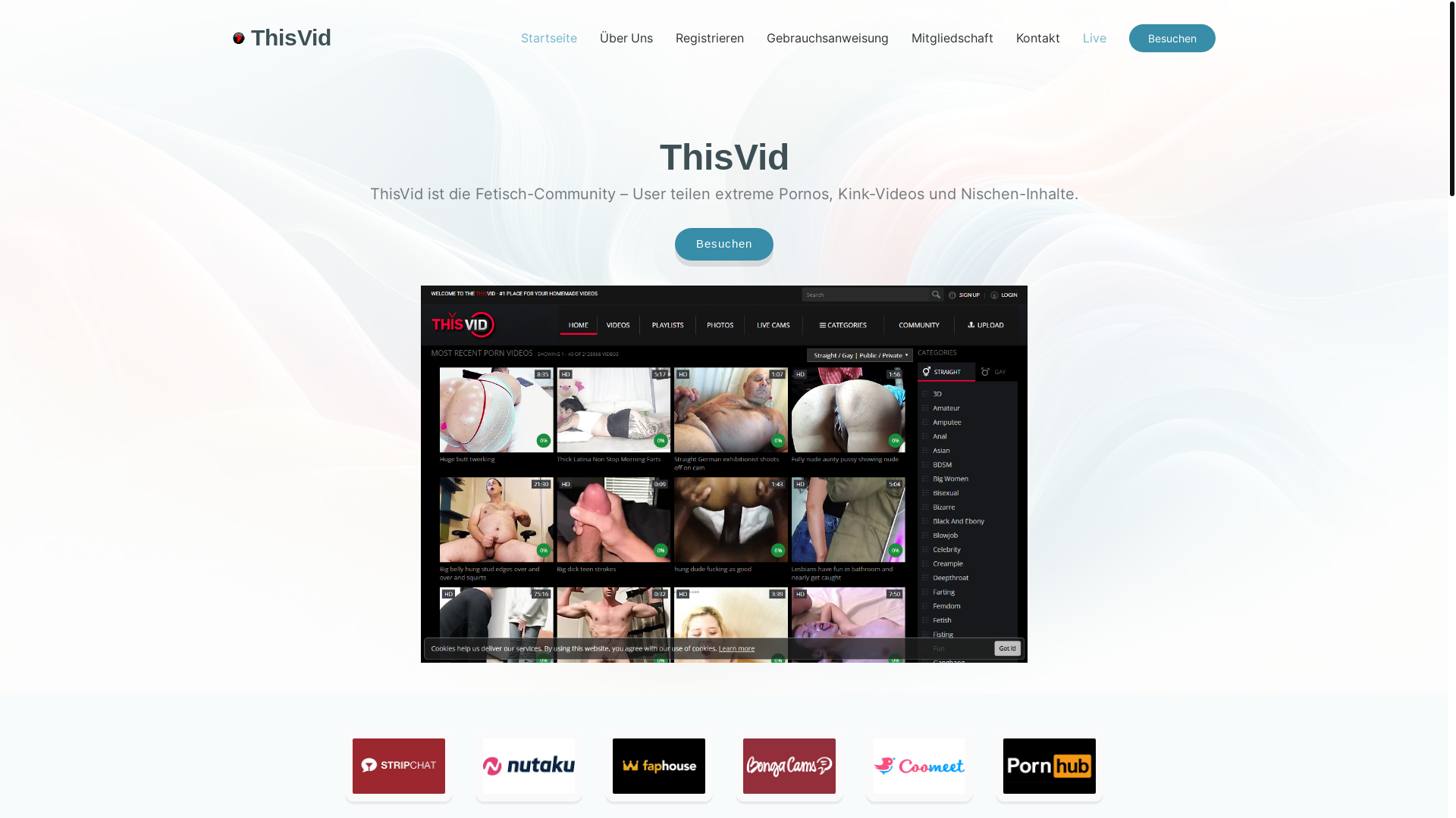 website screenshot of https://thisvid-german.com/
