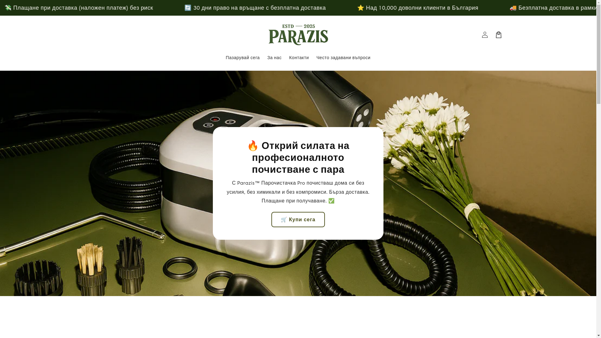website screenshot of https://parazis.com/