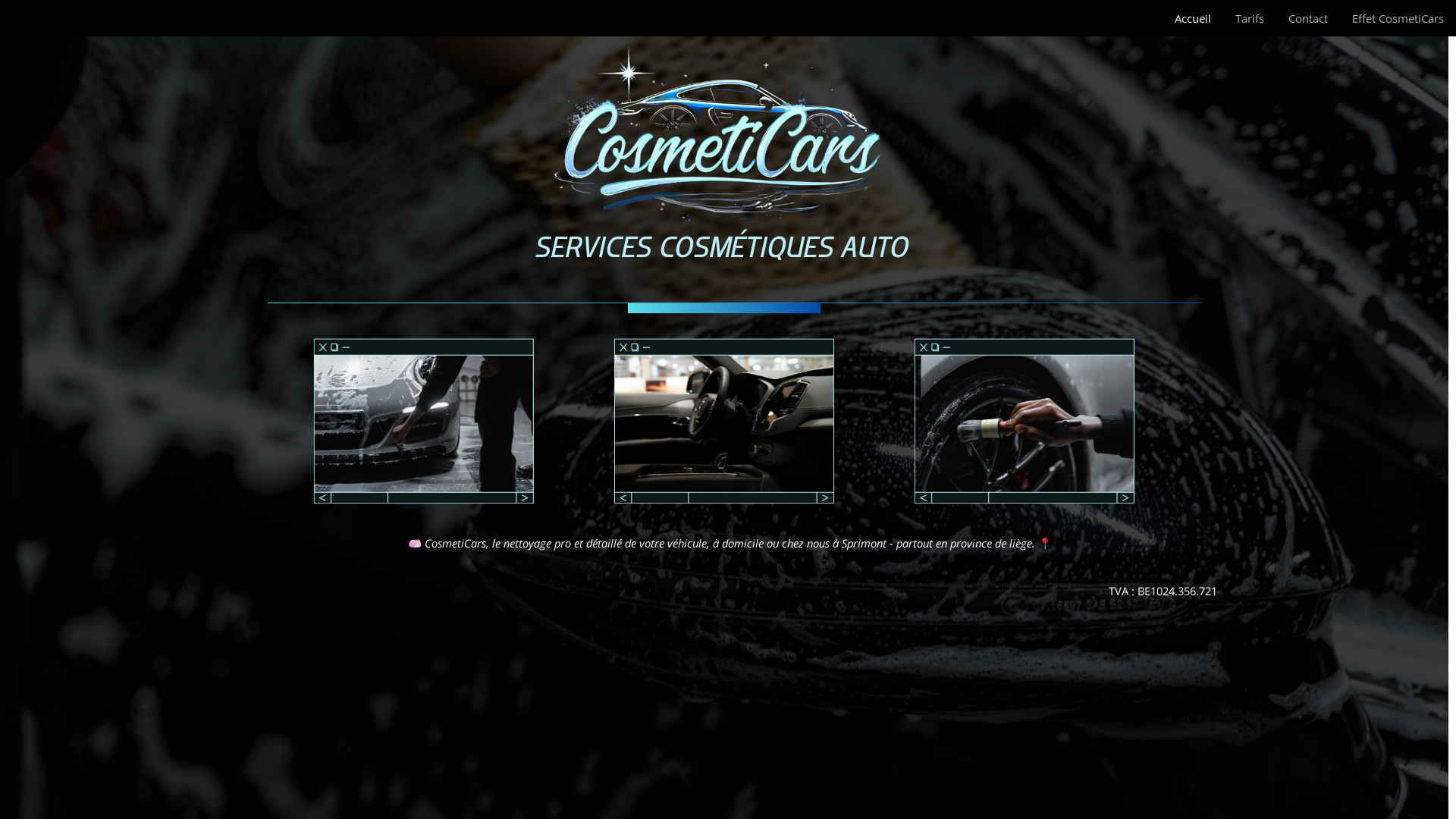 website screenshot of https://cosmeticars.net/