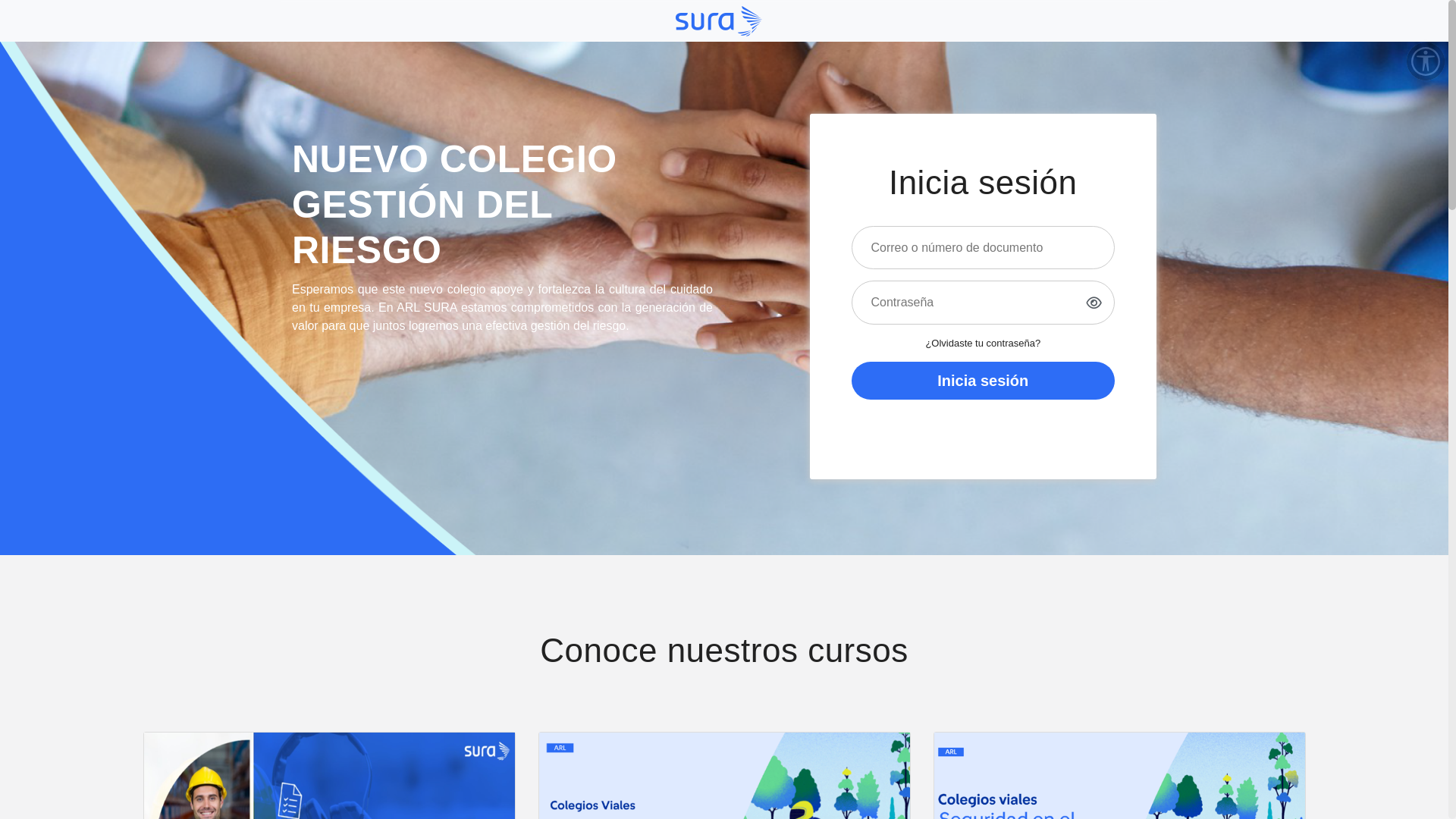 website screenshot of https://colegiosura.com/