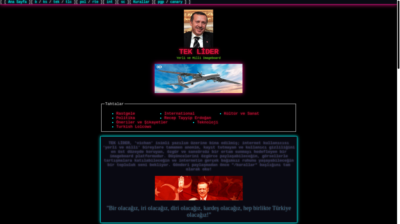 website screenshot of https://teklider.cc/