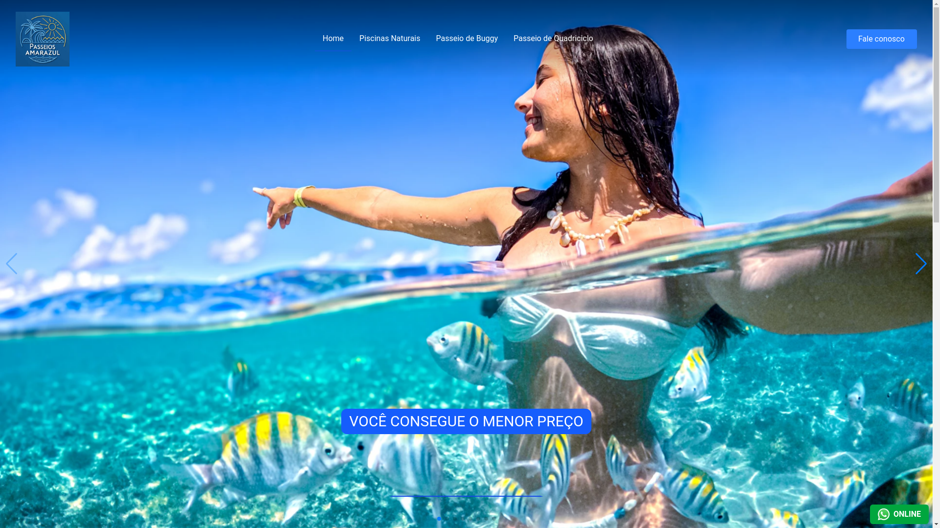 website screenshot of https://passeiosamarazul.com.br/
