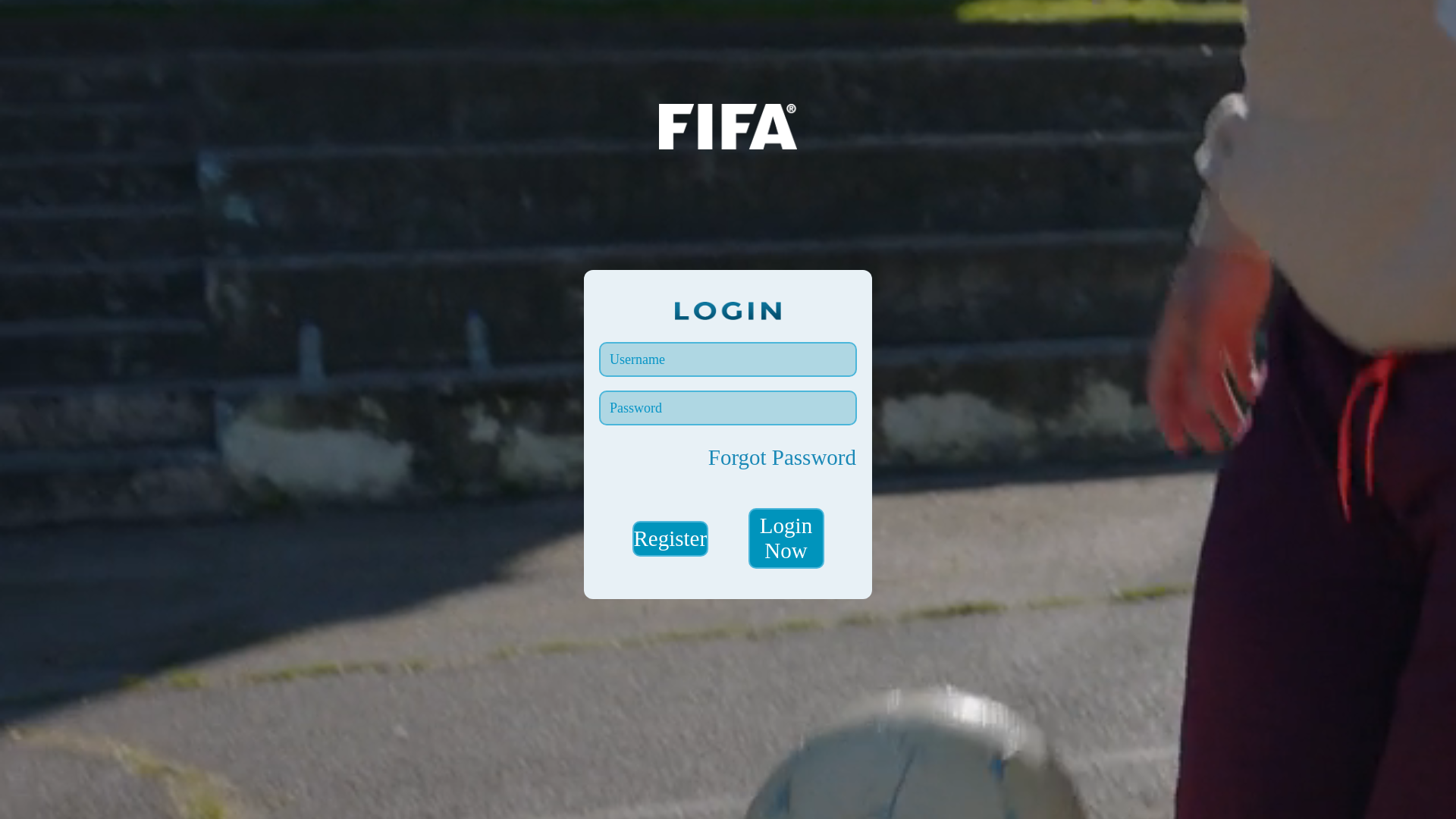 website screenshot of https://www.laseo.cc/