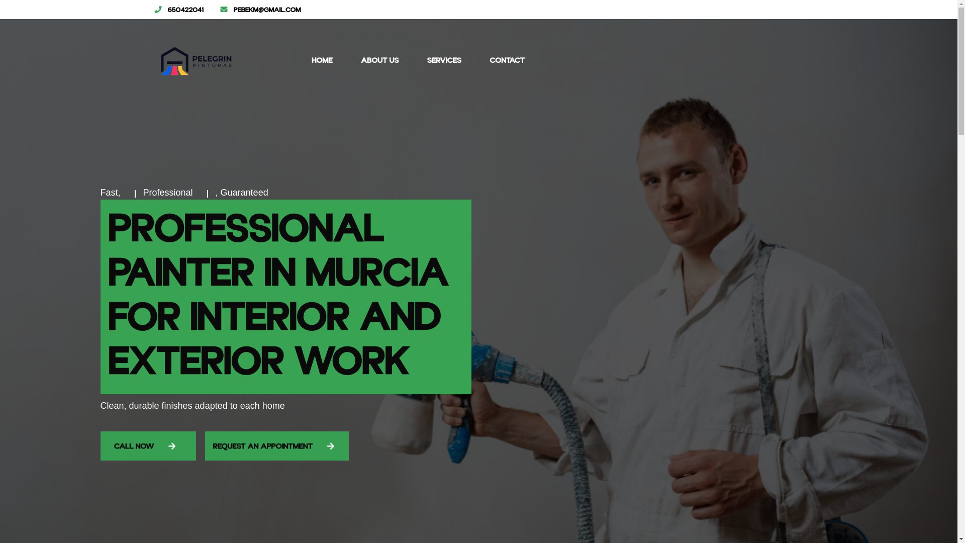 website screenshot of https://pinturaspelegrin.es/