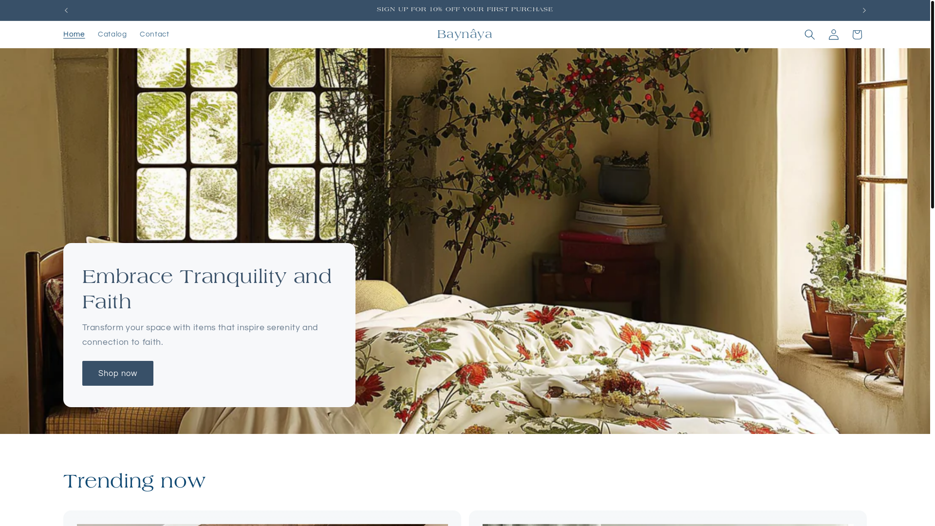 website screenshot of https://baynaya.com/