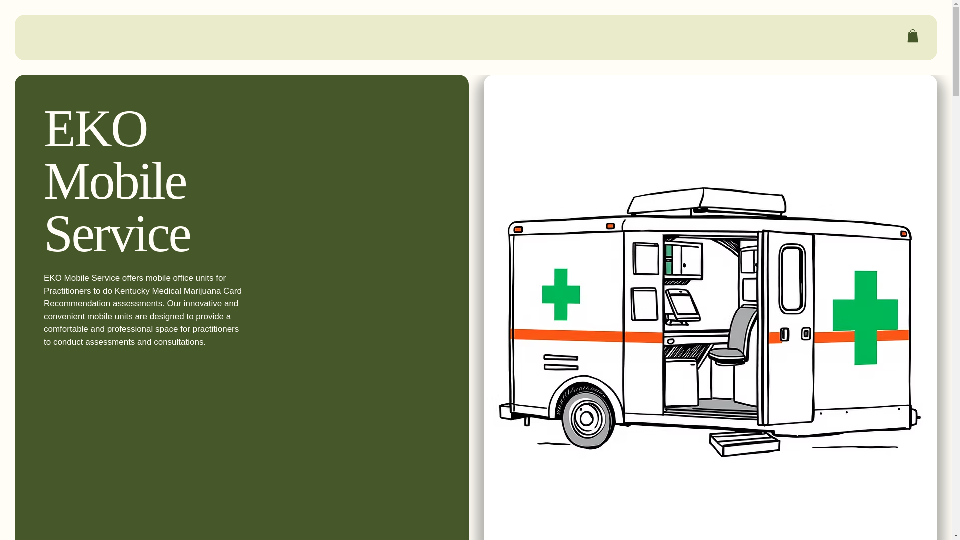 website screenshot of https://eko-mobile-service.com/