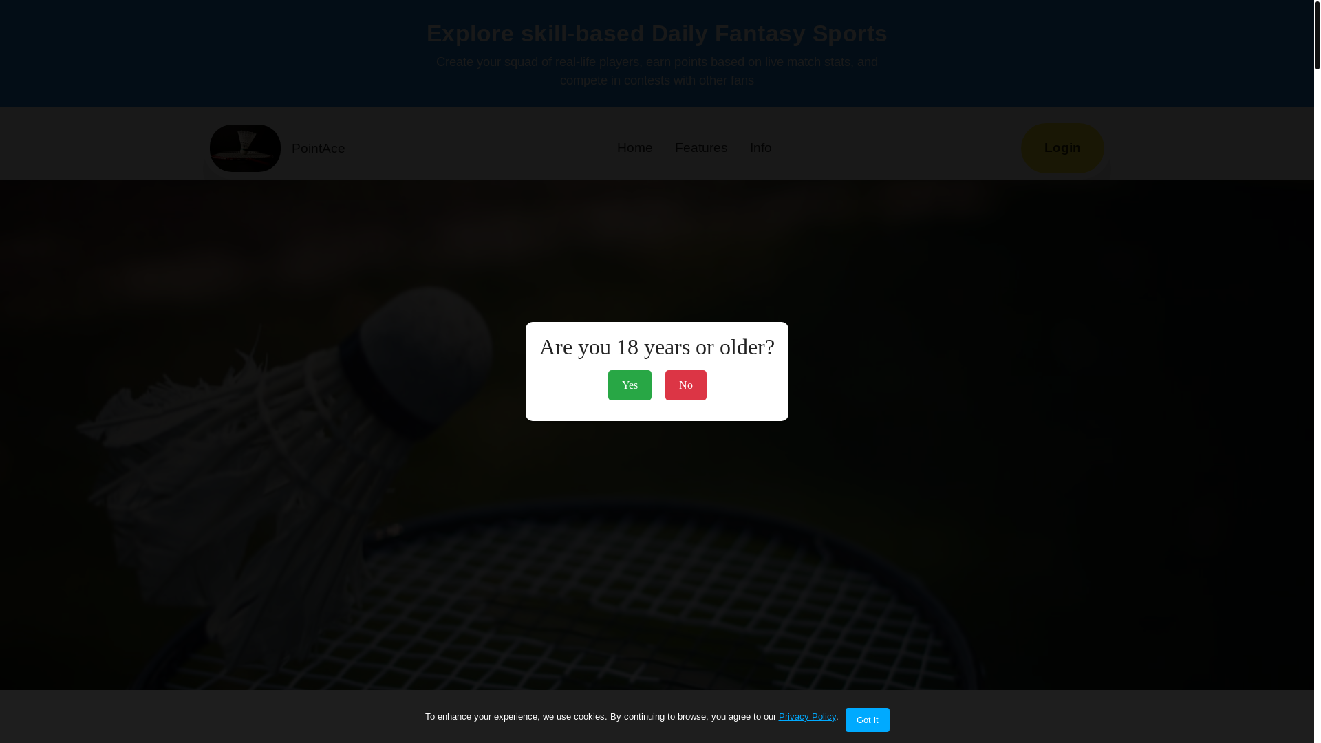 website screenshot of https://badmintonphaseconsistency.com/