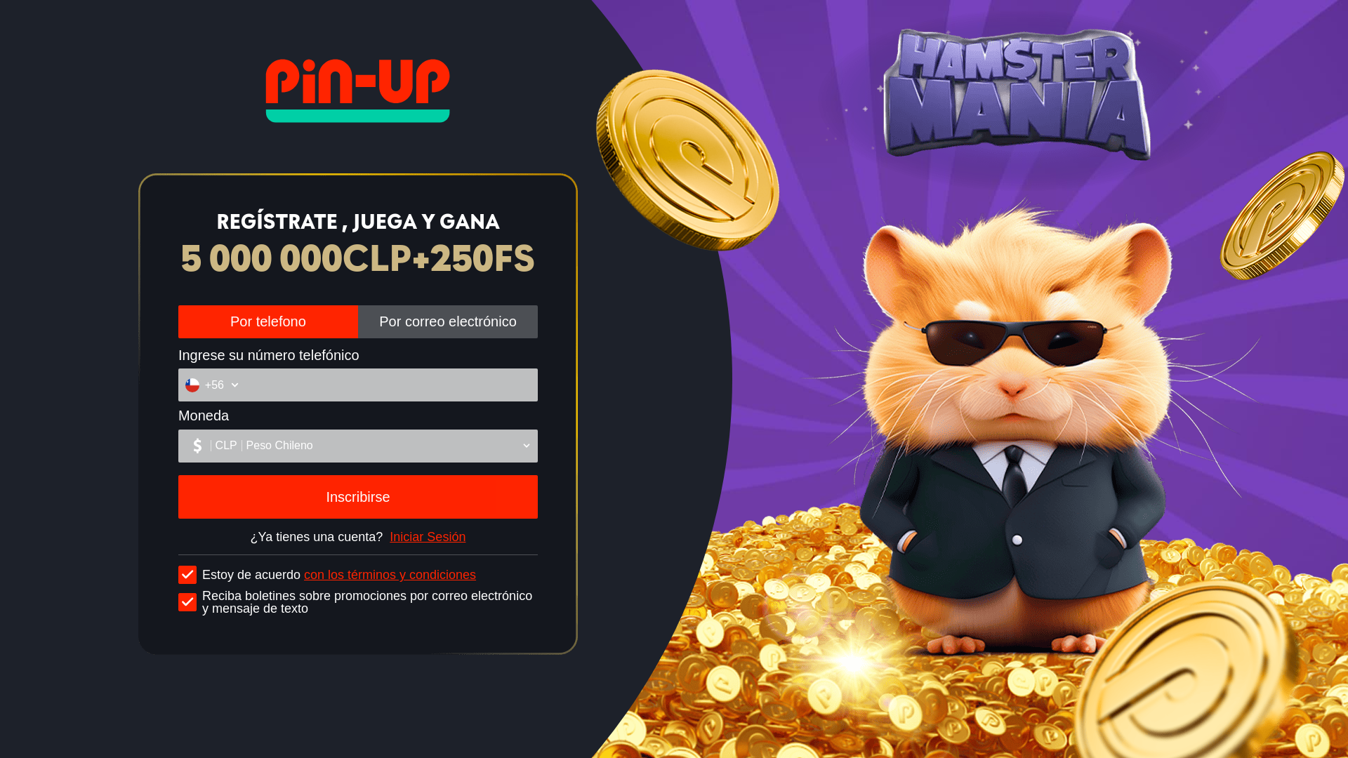 website screenshot of https://hamstermania-crossbrand-form-cl.pages.dev/