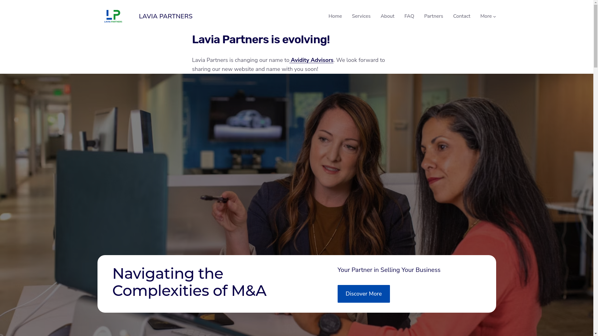 website screenshot of https://lavia-partners.com/