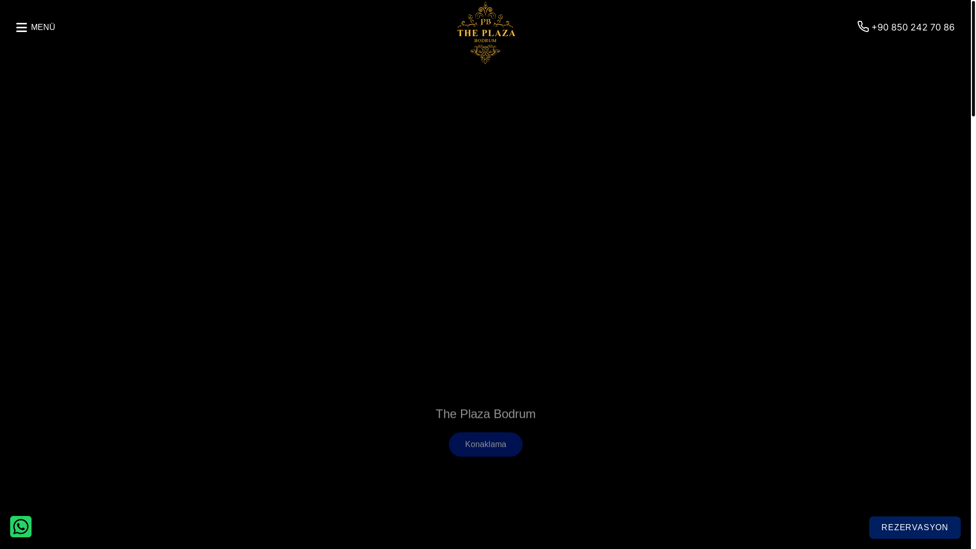 website screenshot of https://theplazaisstanbul.com/