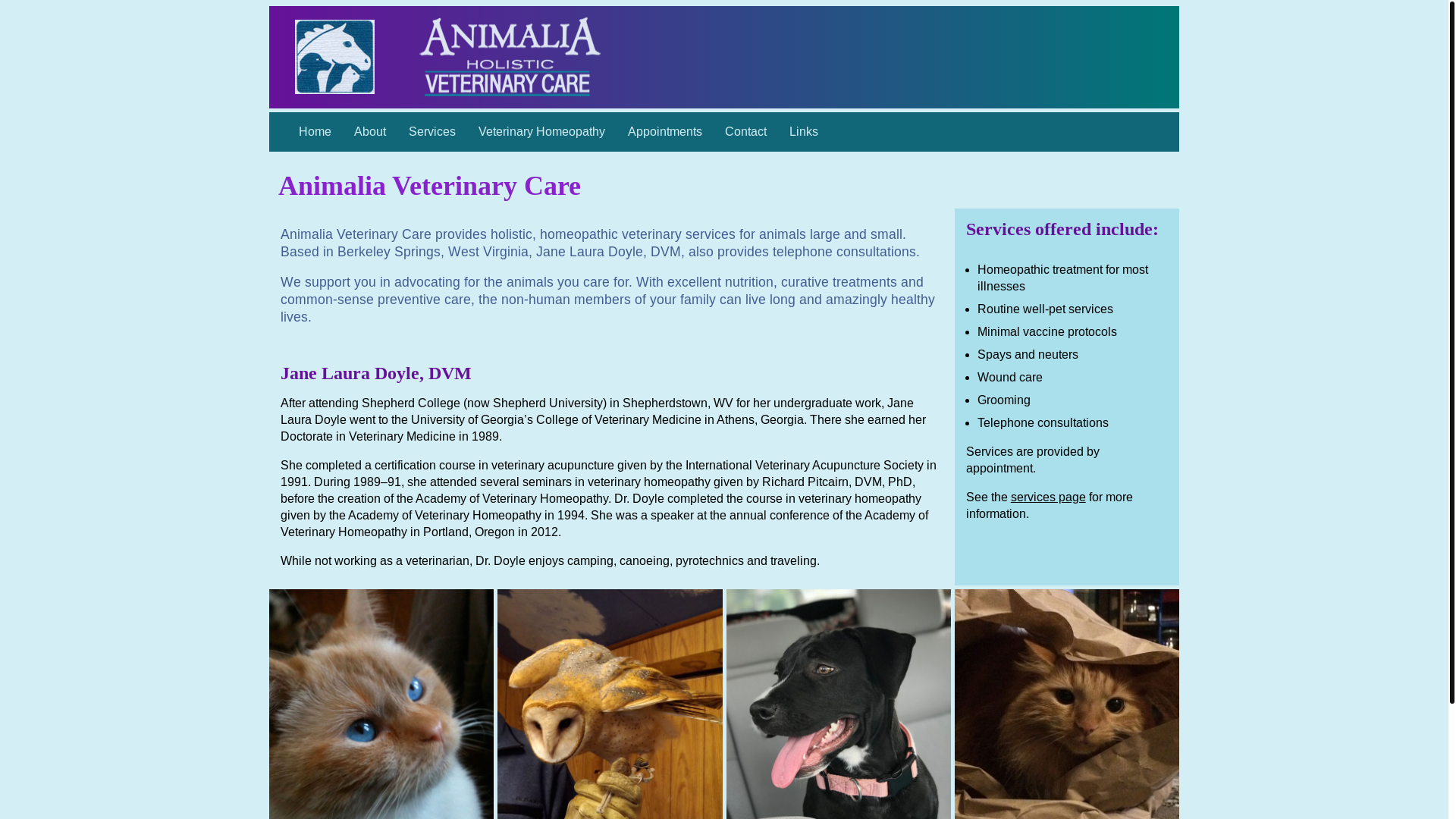 website screenshot of https://animaliaveterinarycare.org/