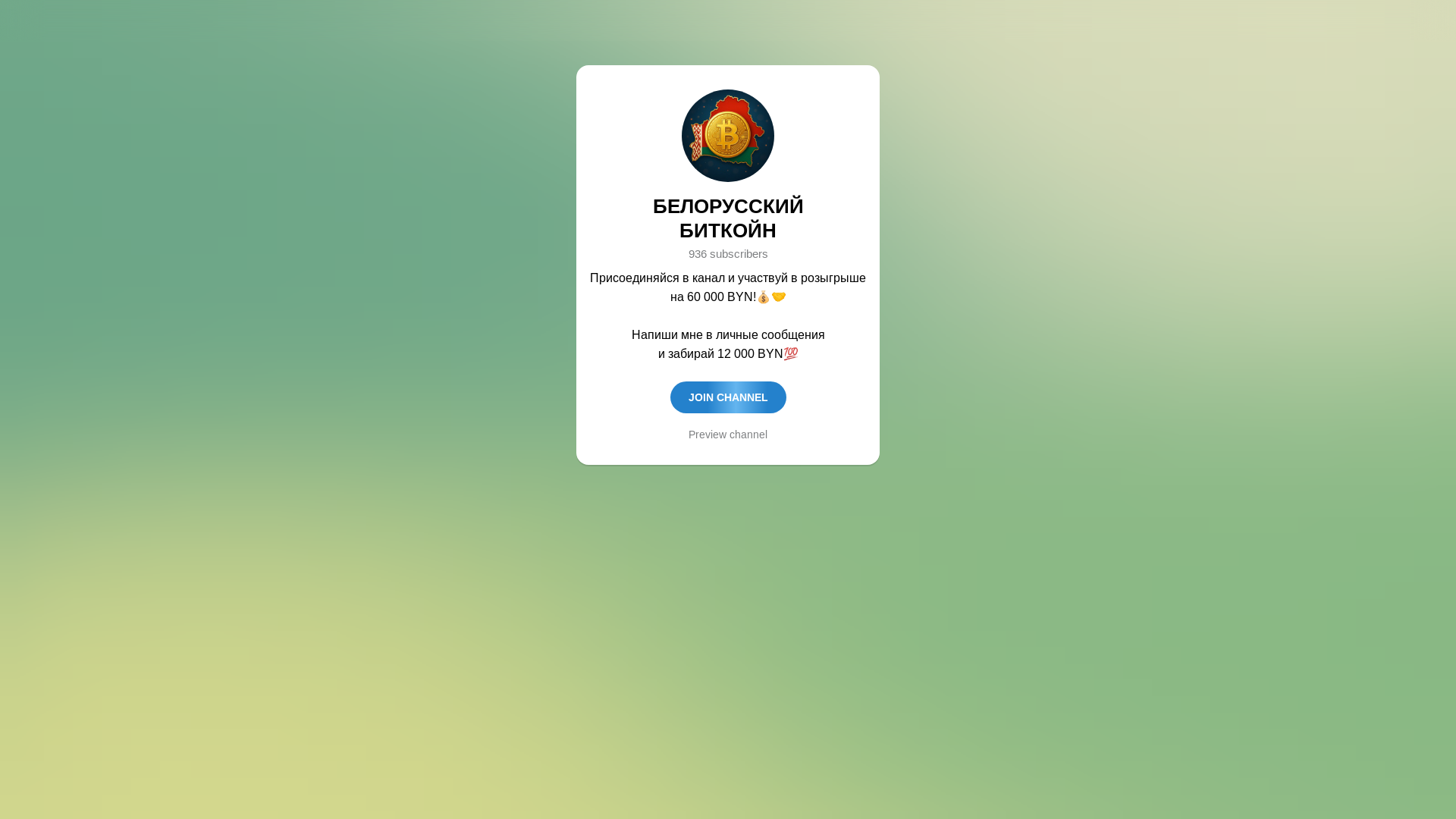 website screenshot of https://bitokbelarus.fun/