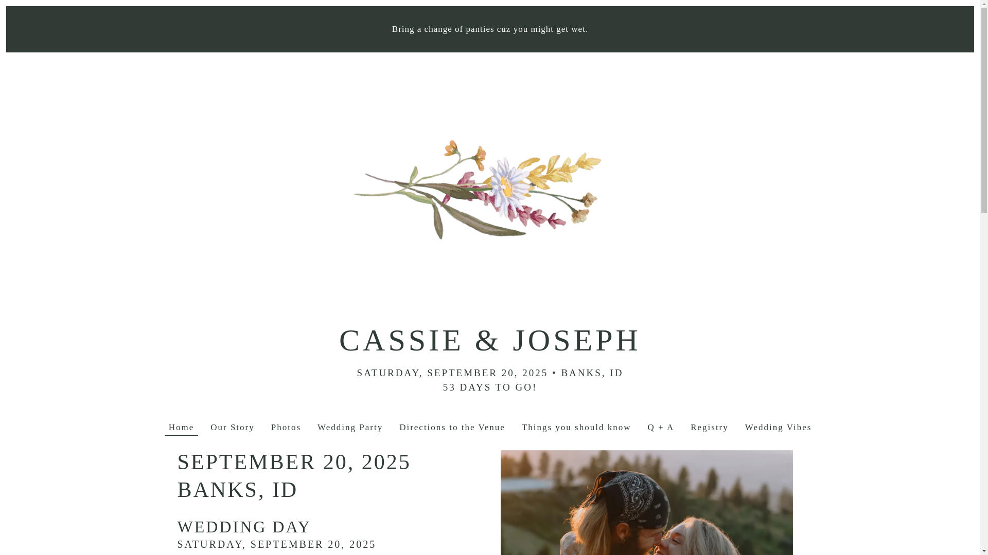 website screenshot of https://cassieandjosephkinglencia.com/