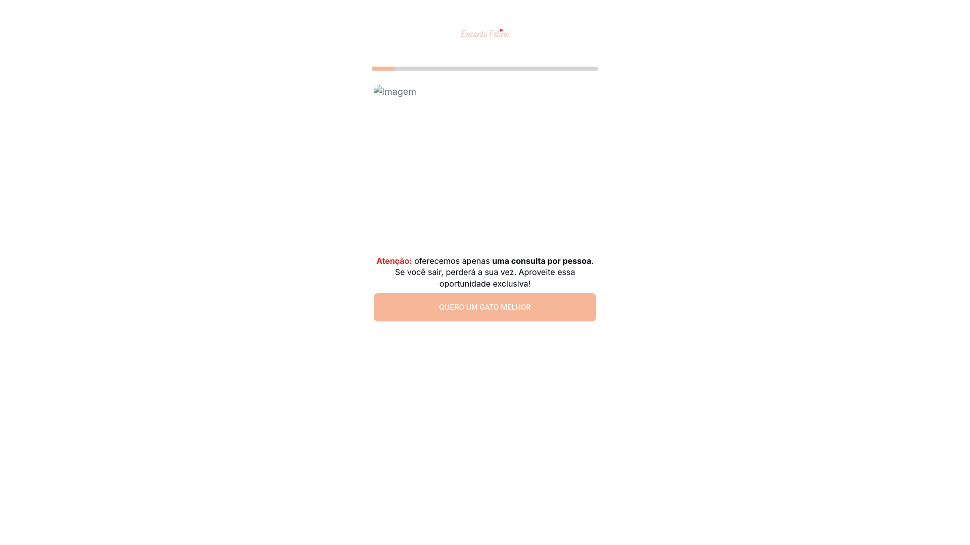 website screenshot of https://encantofelino.shop/