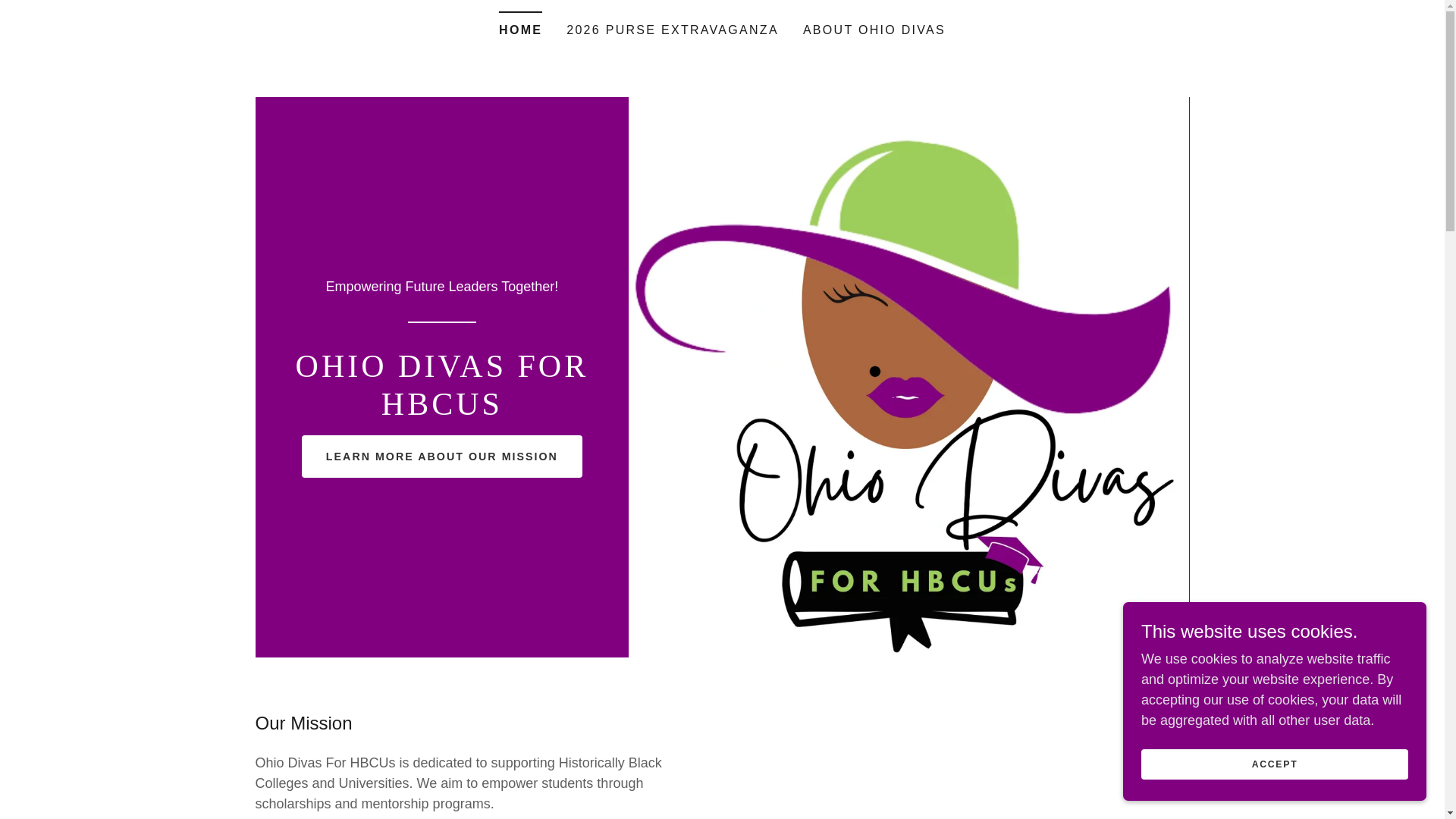 website screenshot of https://ohiodivas.com/