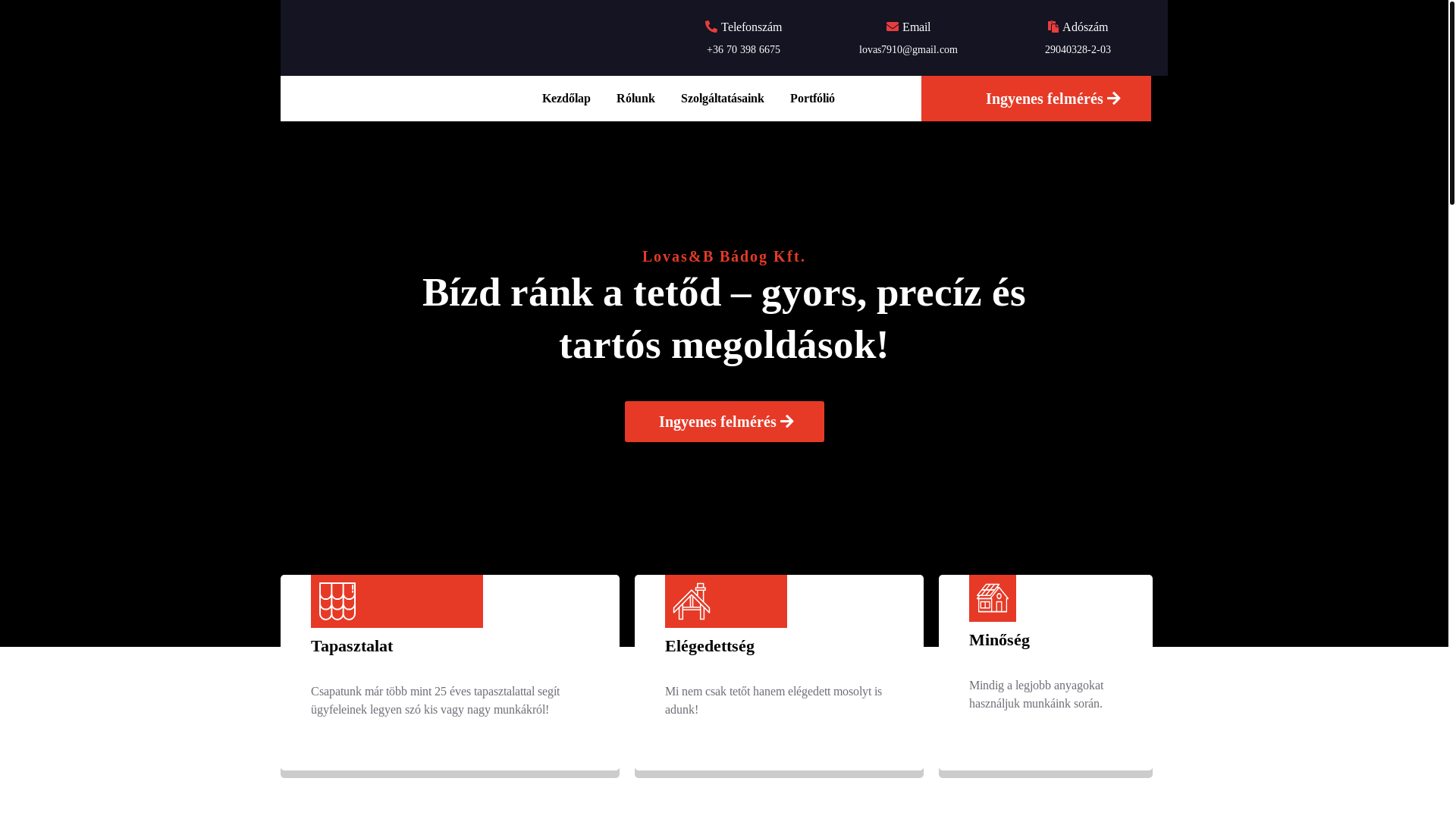 website screenshot of https://lovasbadogkft.hu/
