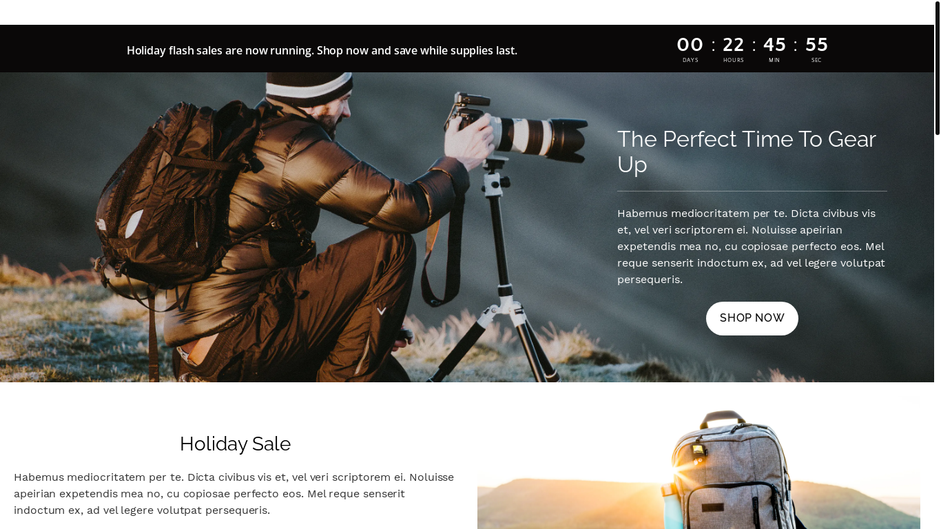 website screenshot of https://avantec24.store/