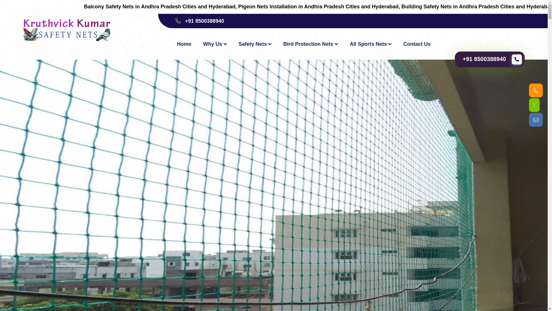 website screenshot of https://birdsafetynetservices.org.in/