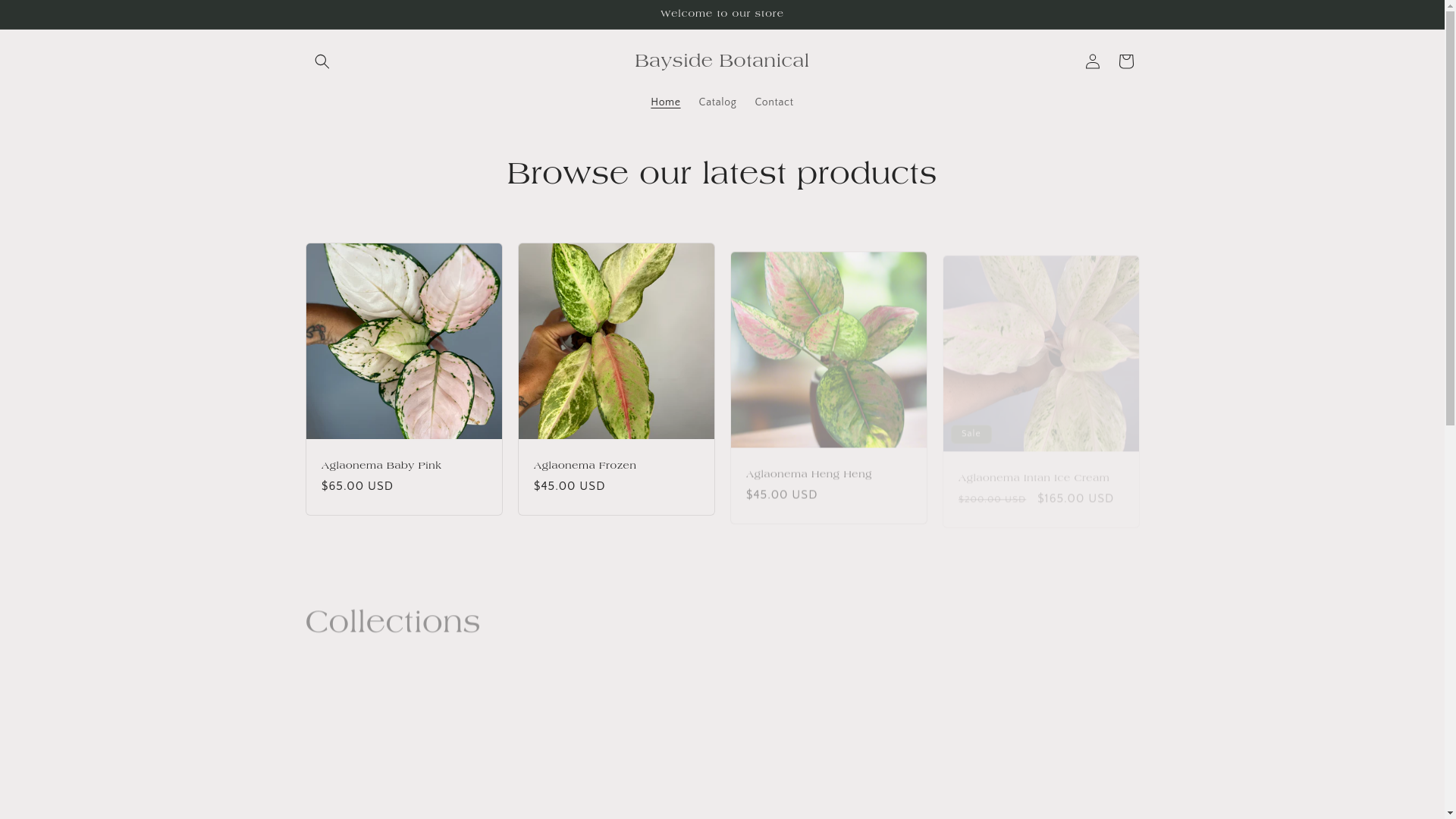 website screenshot of https://baysidebotanical.com/
