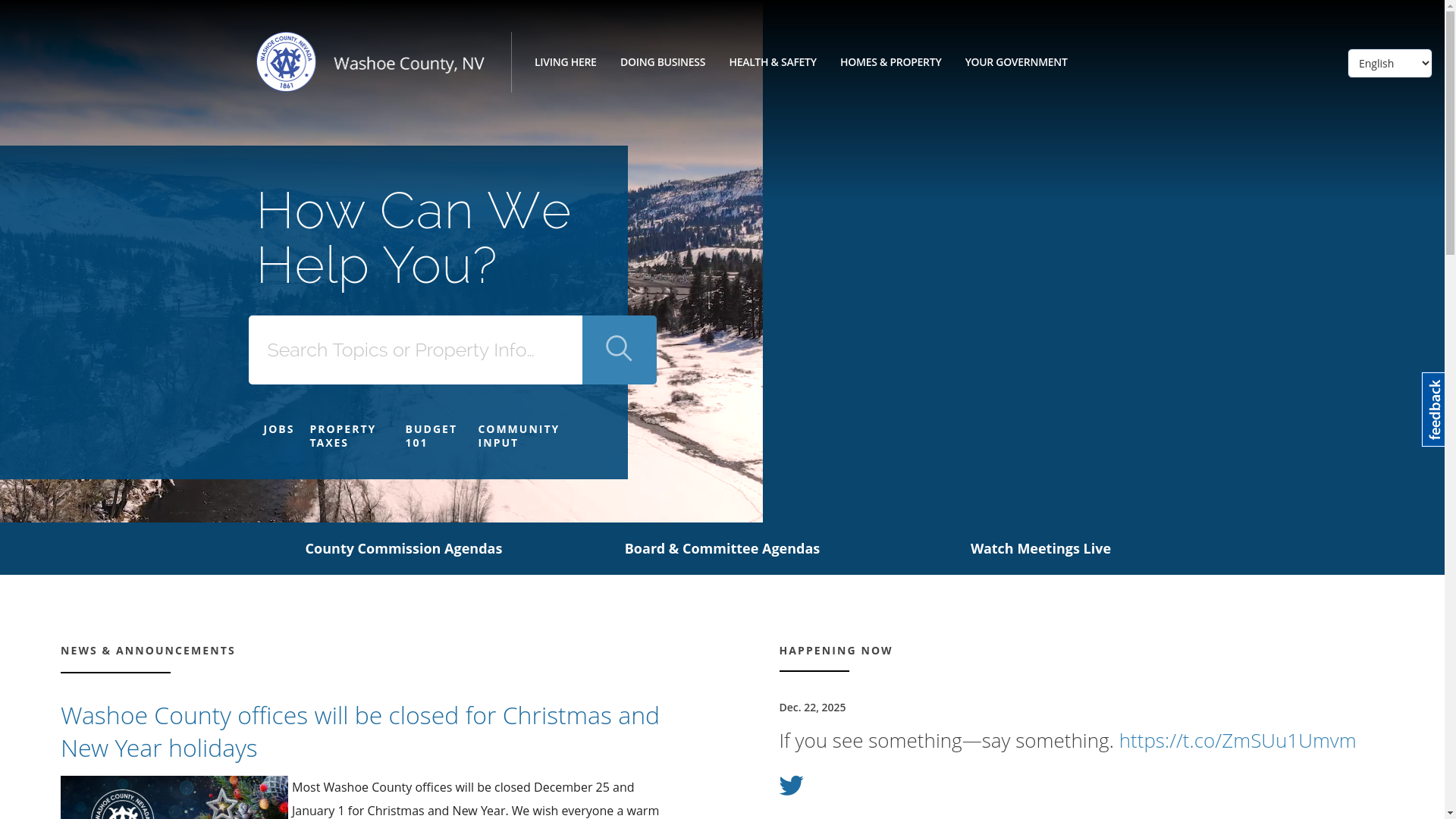 website screenshot of https://washoecounty.gov/