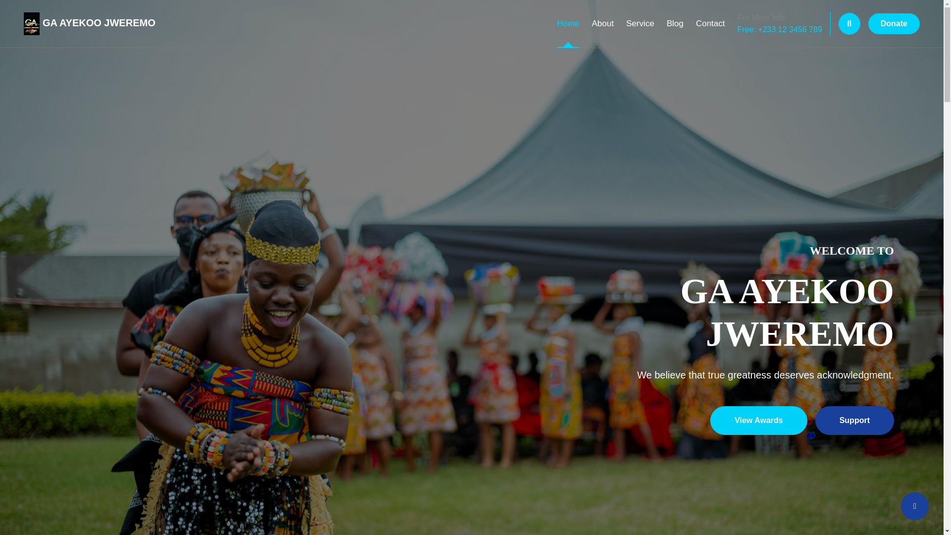 website screenshot of https://ayekoo-jweremo.com/