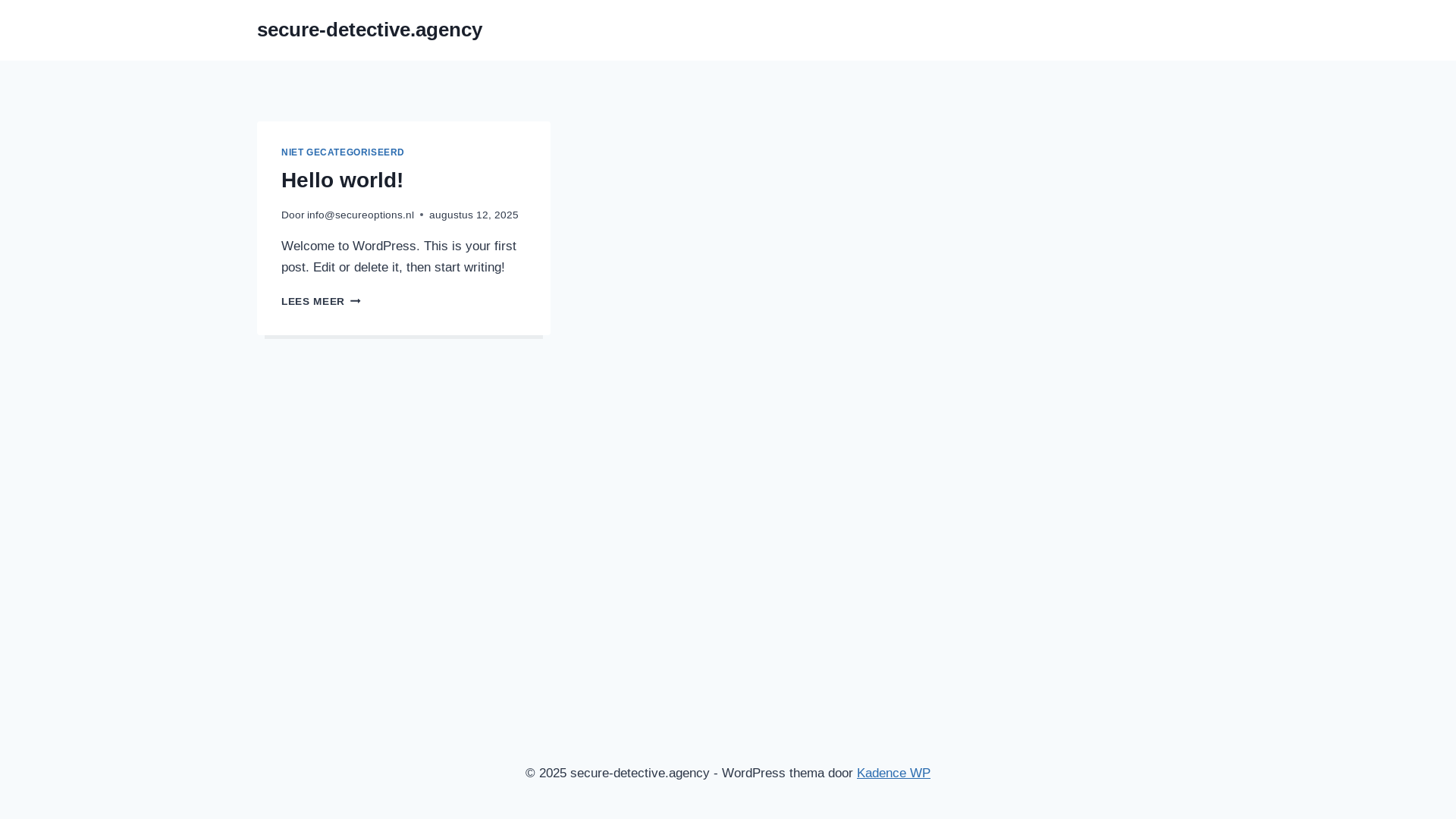 website screenshot of https://secure-detective.agency/