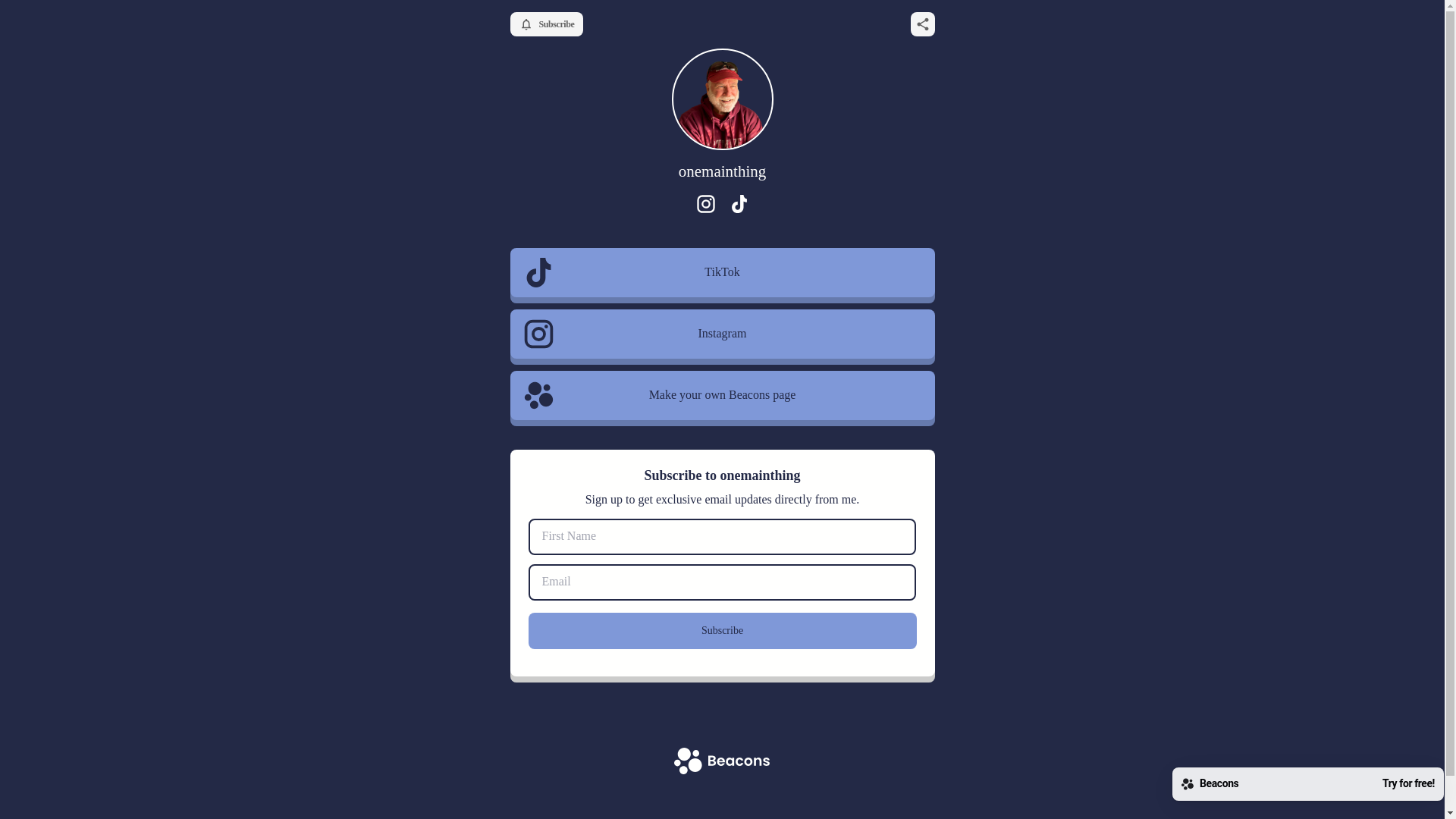 website screenshot of https://onemainthing.store/