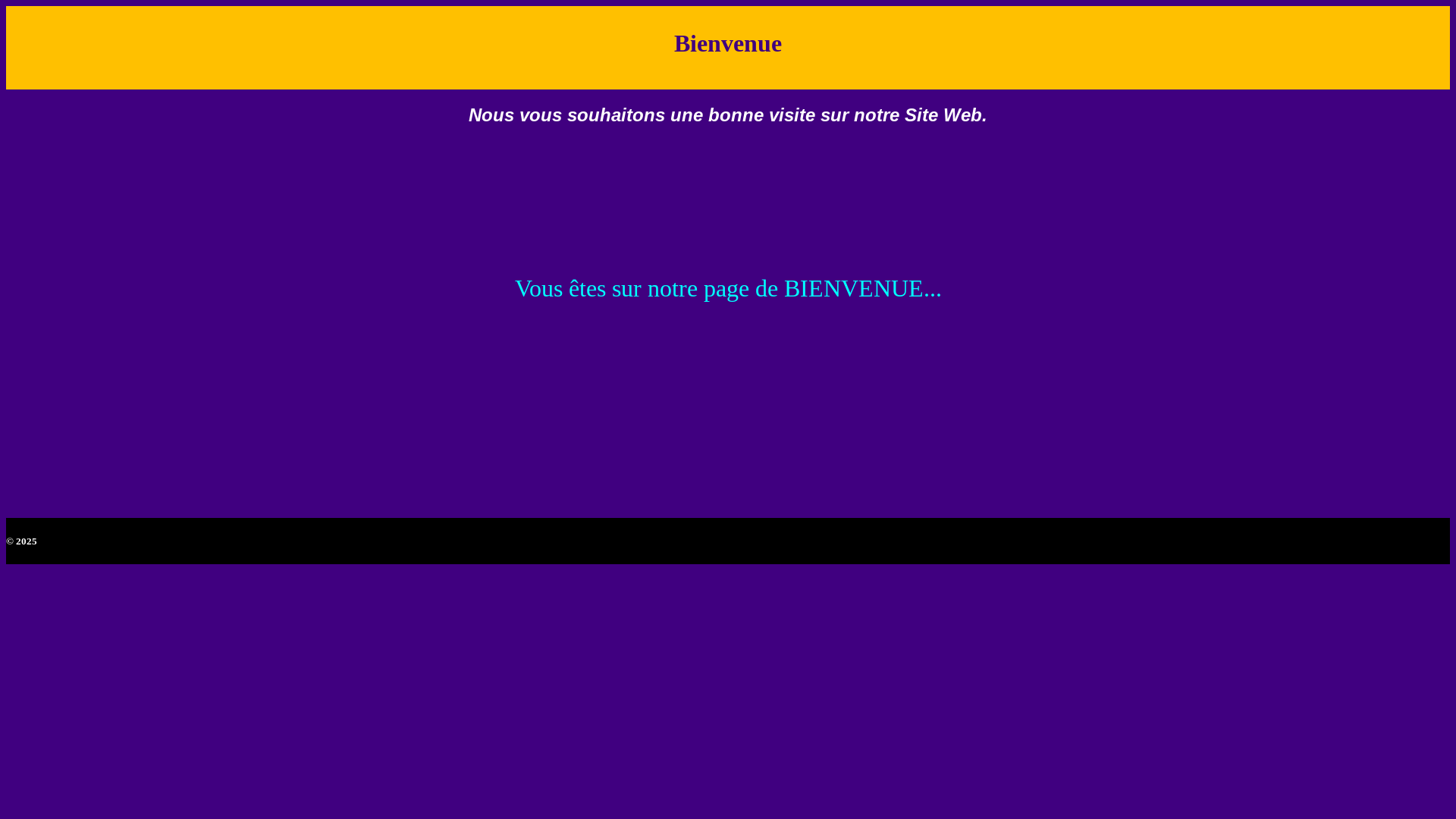 website screenshot of https://nouveaubusinessglobal.com/