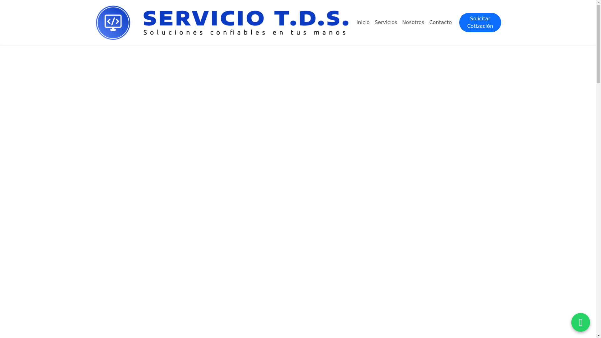 website screenshot of https://serviciotds.cl/