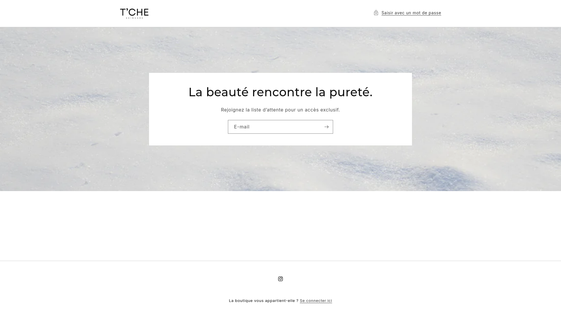 website screenshot of https://tcheskin.com/
