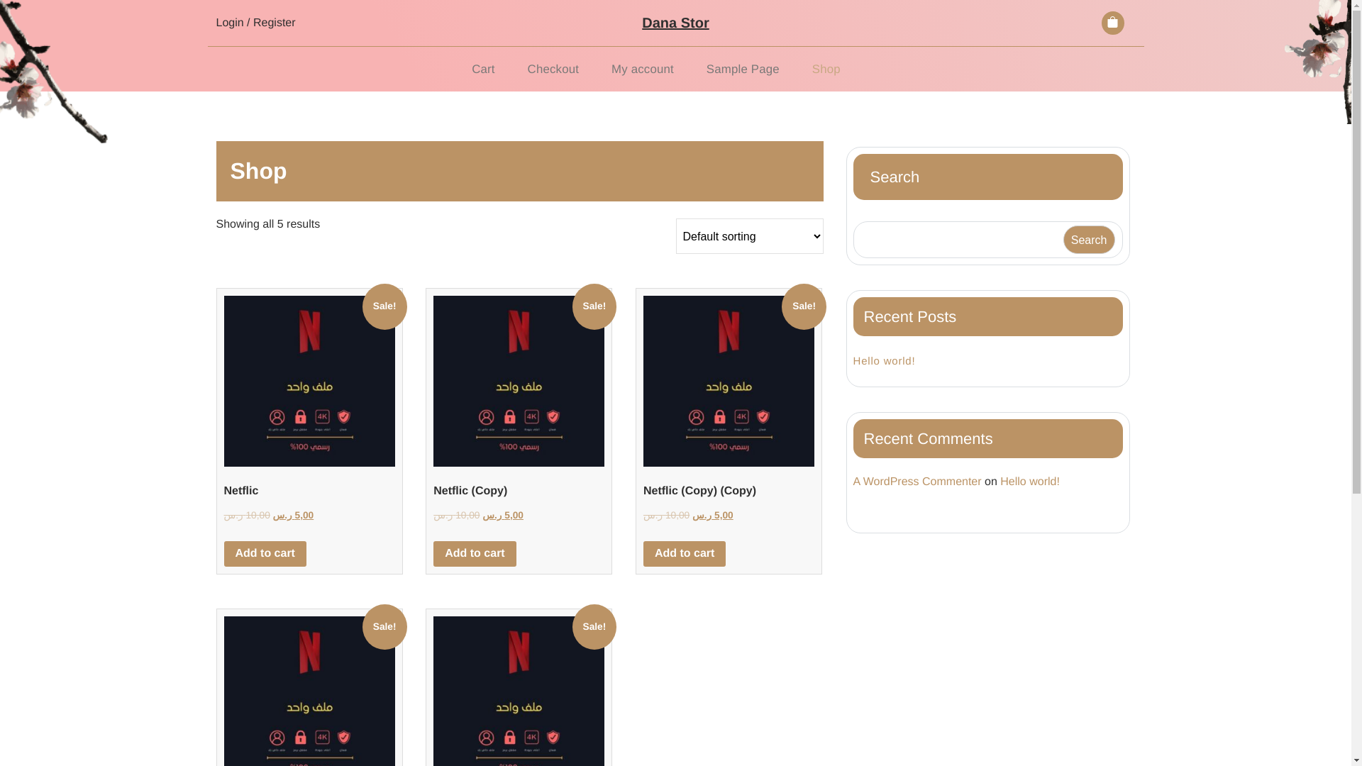 website screenshot of https://danastor.pages.dev/