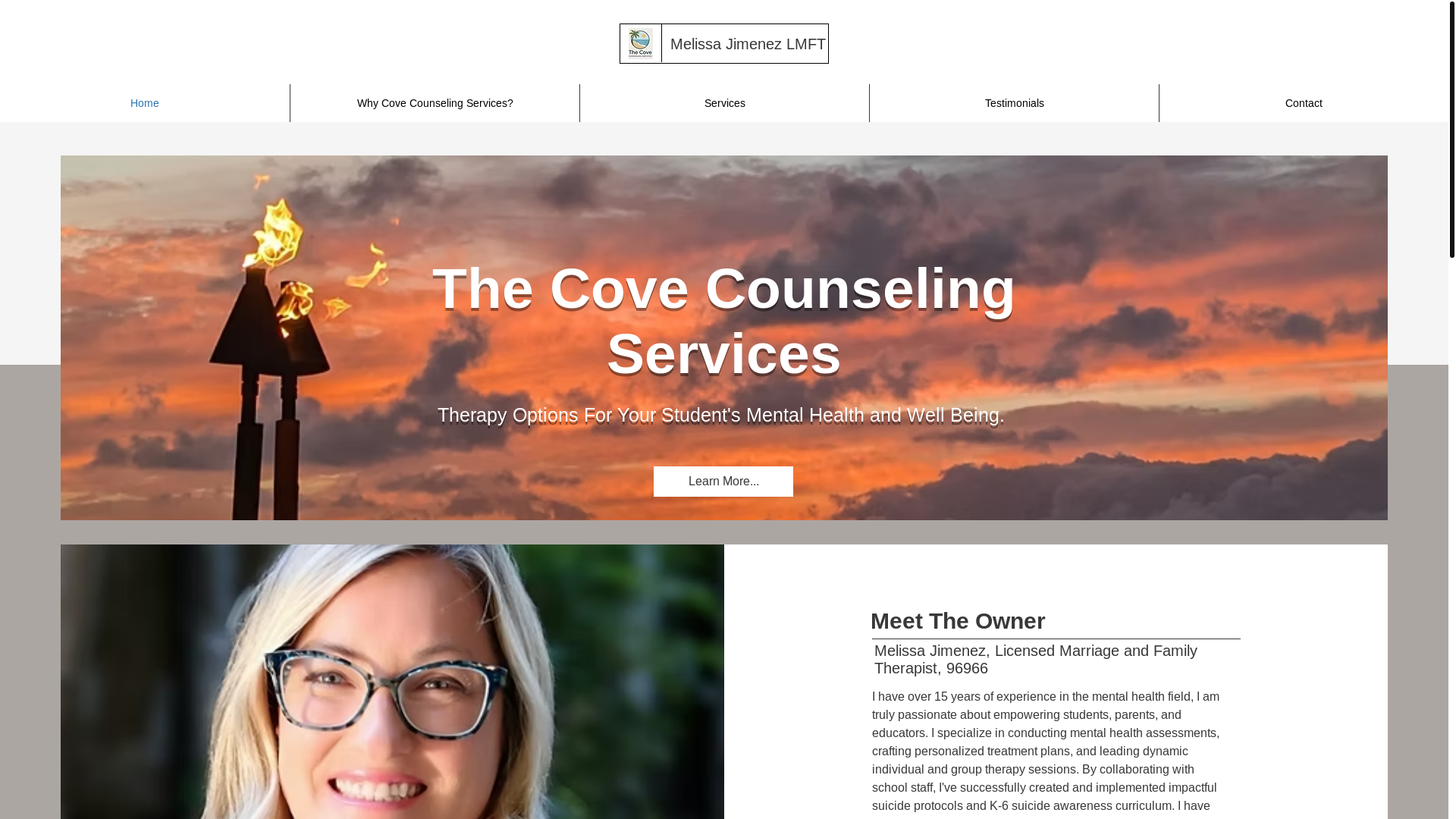 website screenshot of https://thecovecs.net/