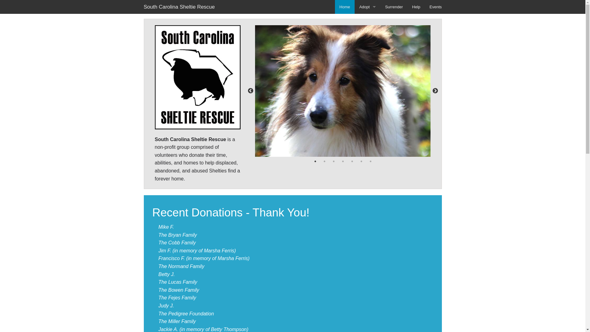 website screenshot of https://scsheltierescue-com.pages.dev/