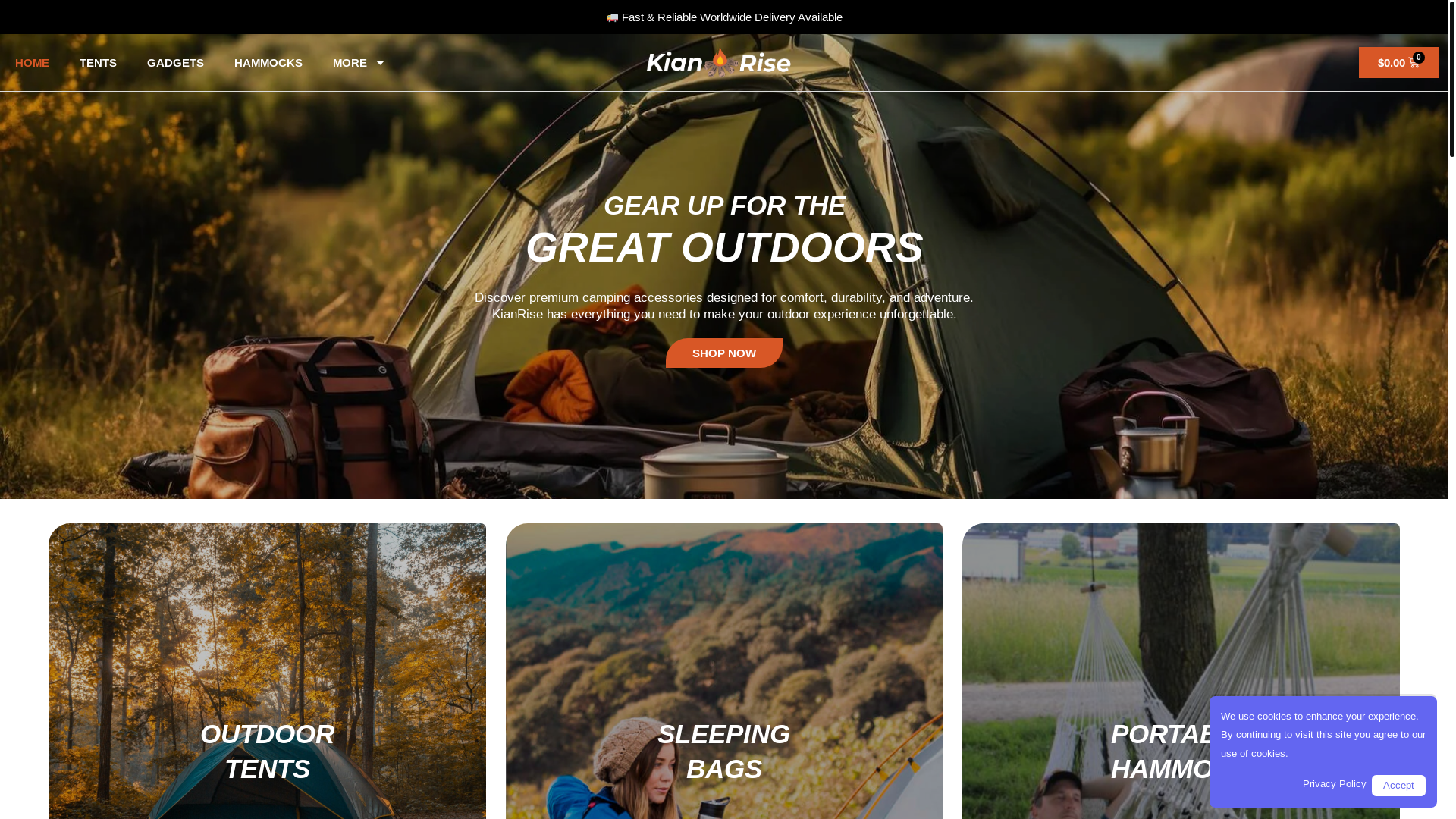 website screenshot of https://kianrise.com/