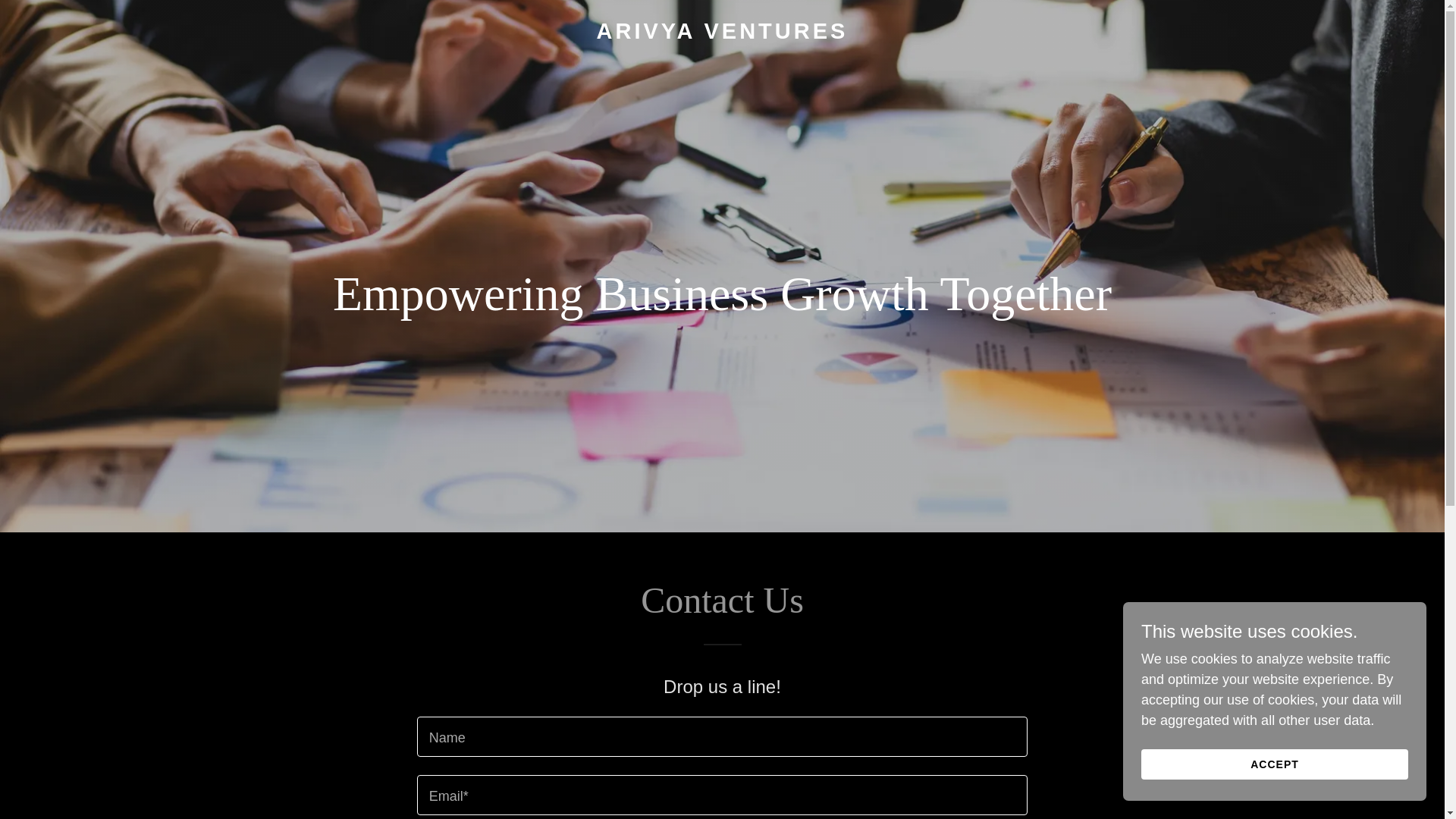 website screenshot of https://arivyaventures.com/