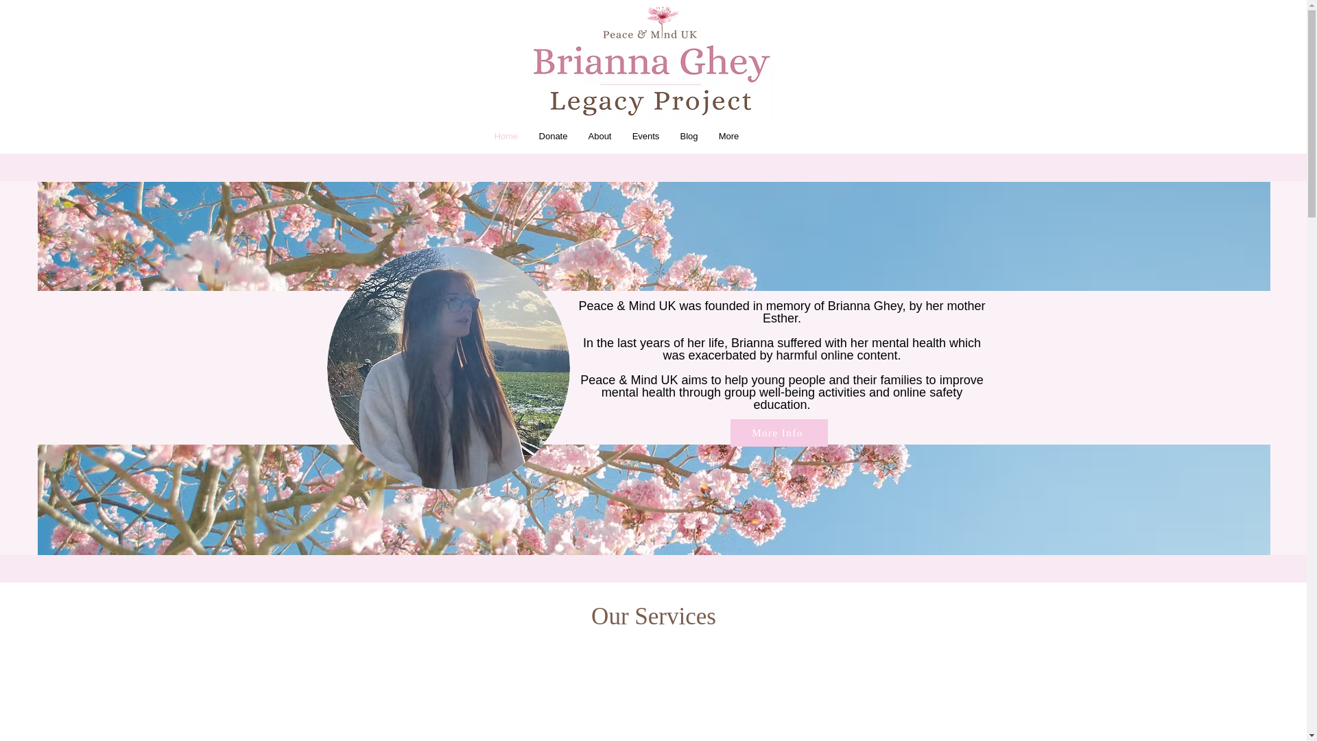 website screenshot of https://www.briannaslegacy.org/