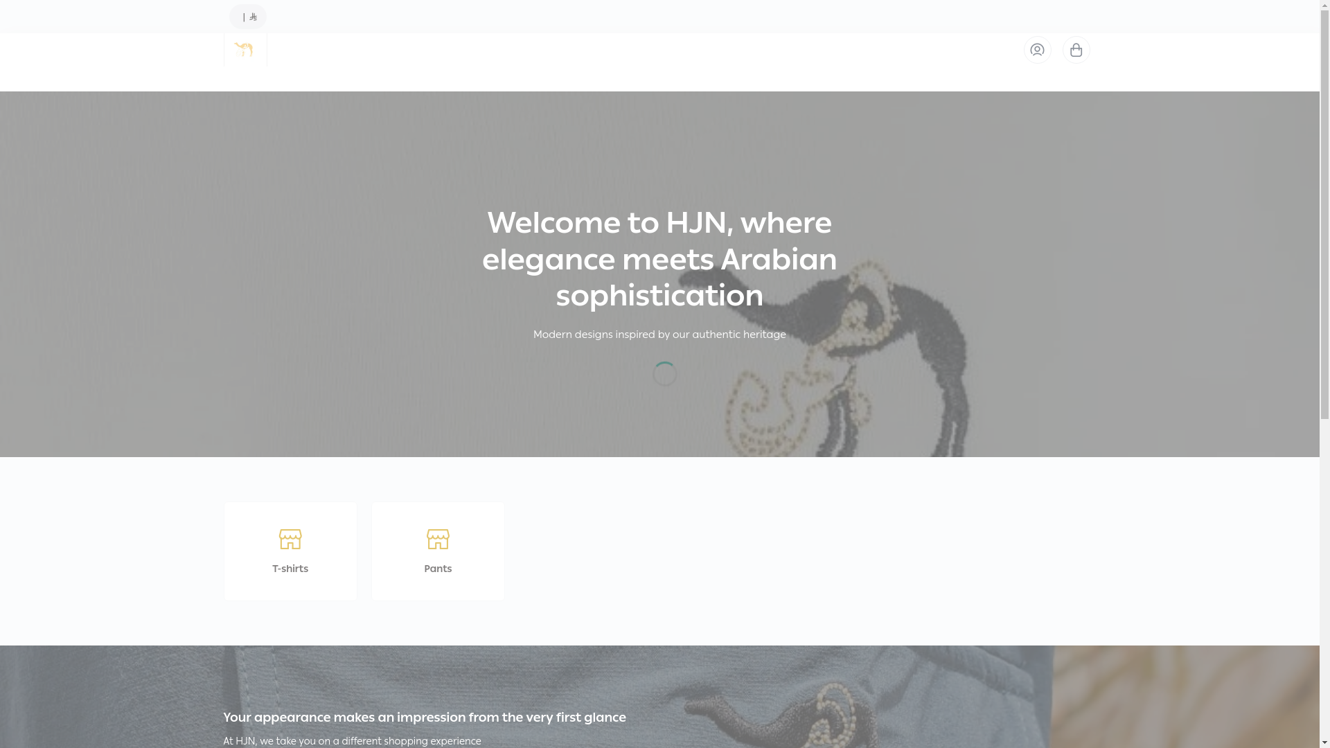 website screenshot of https://hjn-sa.com/