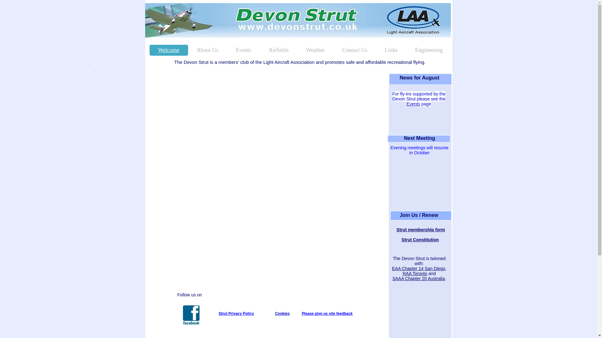 website screenshot of https://devonstrut.com/