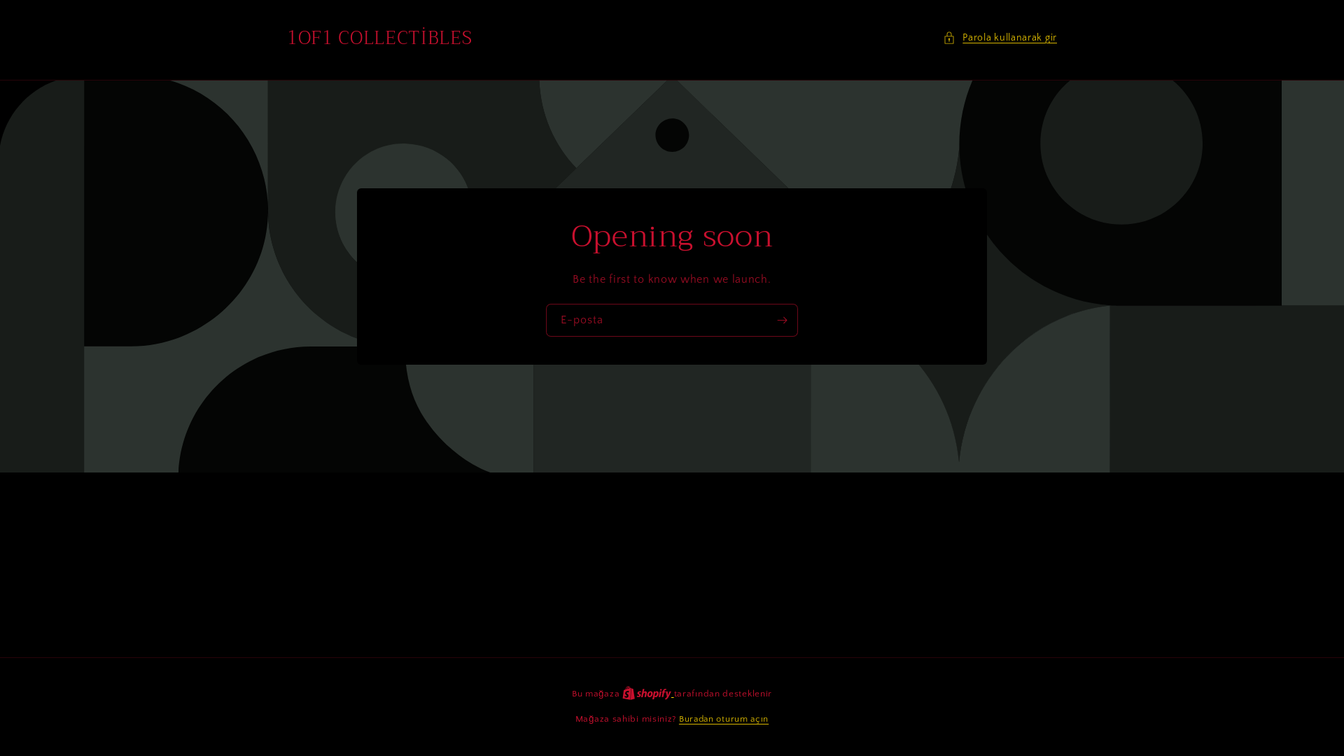 website screenshot of https://1of1collectibles.shop/